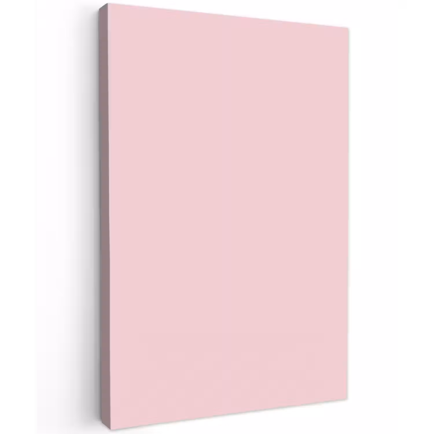 Blush - Pink - Roze Tuinposter op houten frame 2 cm dik klein 841 -3d