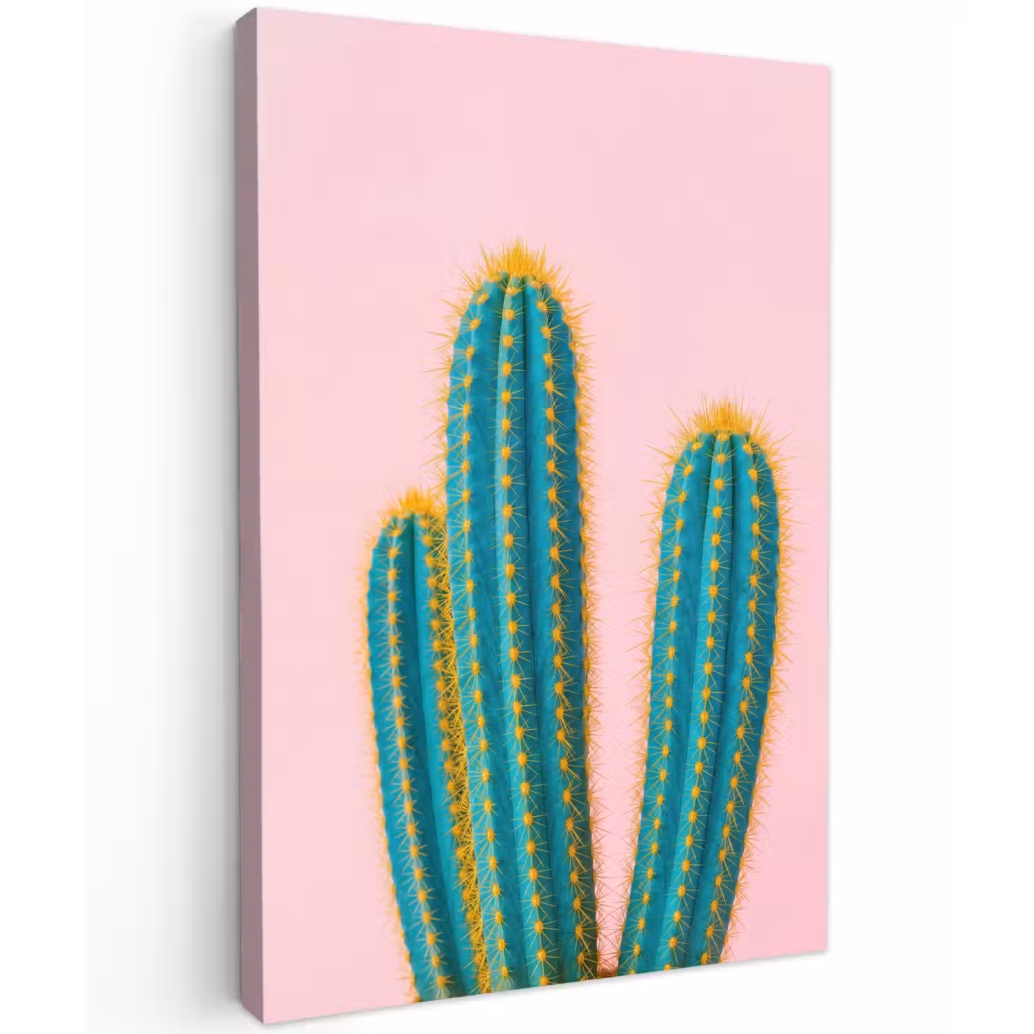 Cactussen - Modern - Pastel Tuinposter op houten frame 2 cm dik klein -3d