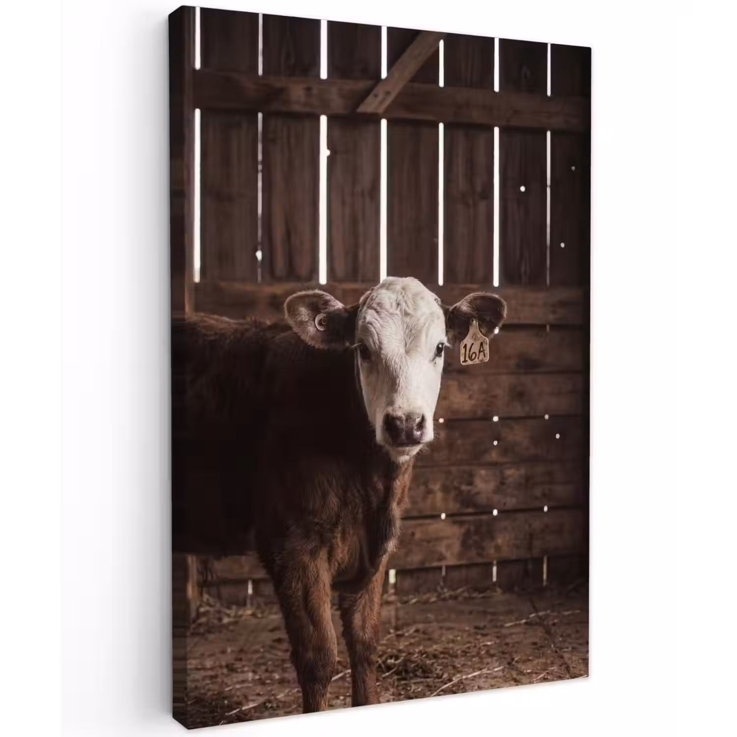 Kalf - Oormerk - Houten stal Tuinposter op houten frame 2 cm dik klein -3d