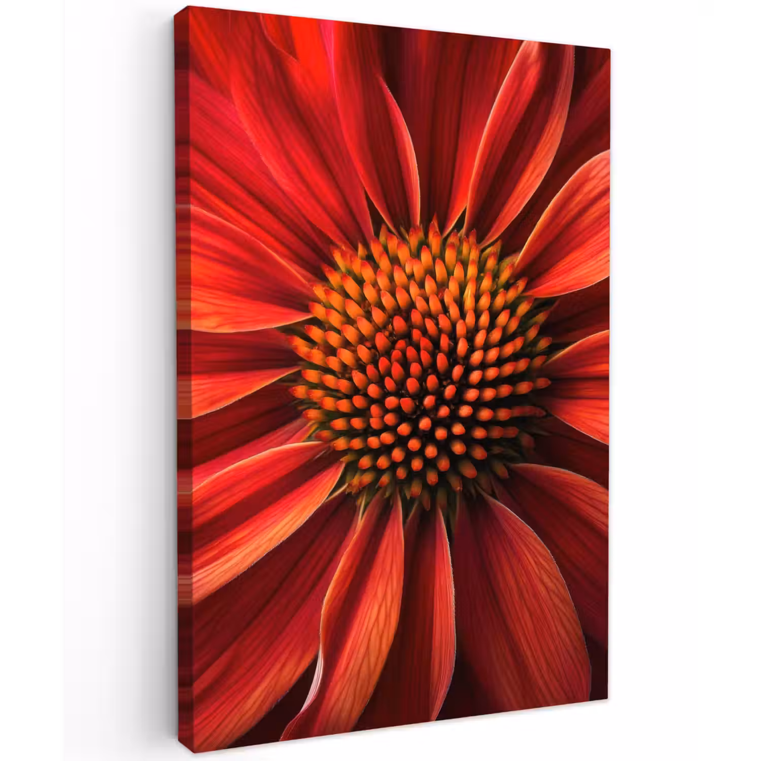 Close up - Bloem- Rood Tuinposter op houten frame 2 cm dik klein -3d