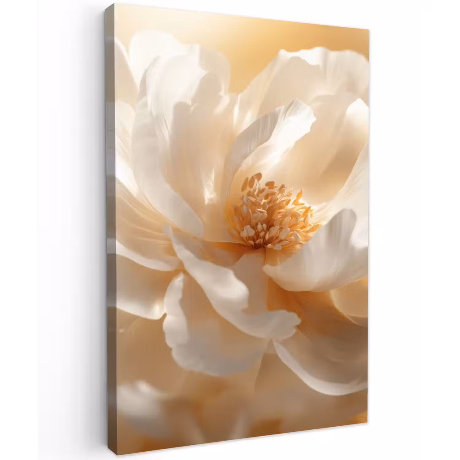 Close up - Pioenroos - Wit Tuinposter op houten frame 2 cm dik klein -3d