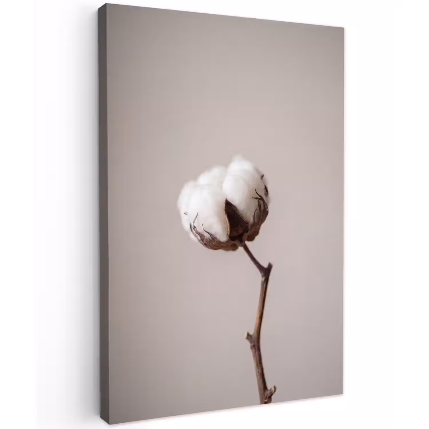 Katoenbol - Minimalistisch - Wit Tuinposter op houten frame 2 cm dik klein -3d