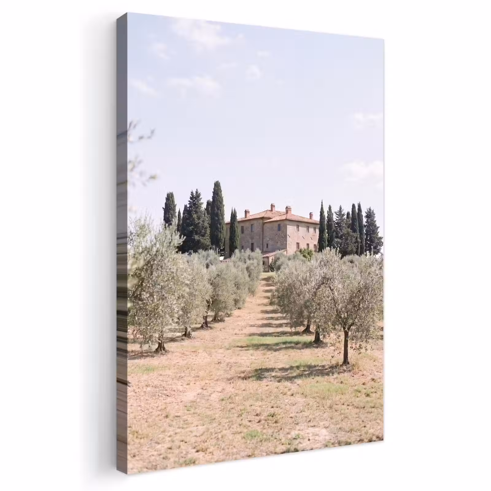 Outdoor Canvas Print - Country house - olive tree - orchard - Landhuis - olijfboom - gaard Tuinposter op houten frame 2 cm dik klein
