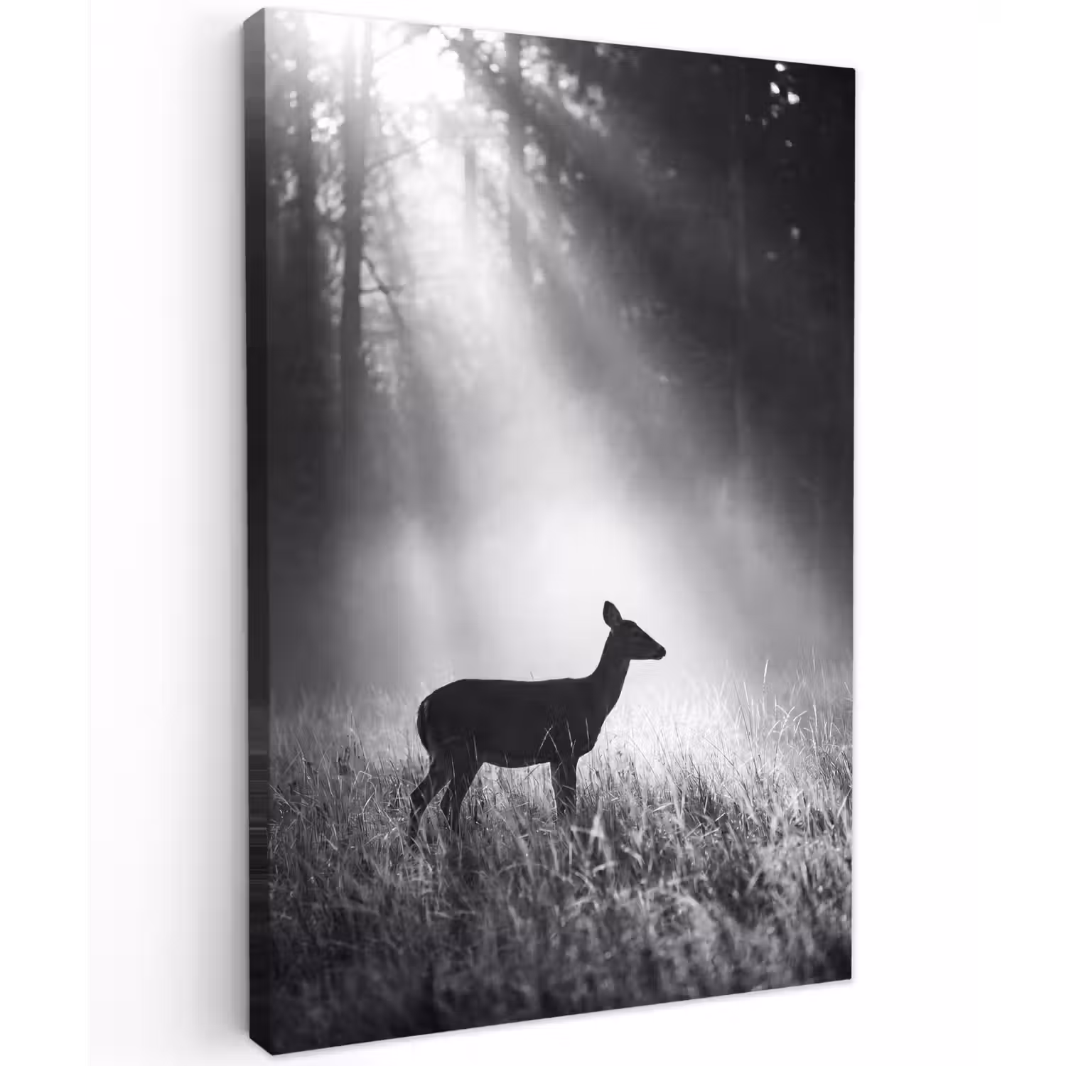 Hert - Bos - Zonnestralen - Zwart-wit - Natuur Tuinposter op houten frame 2 cm dik klein -3d