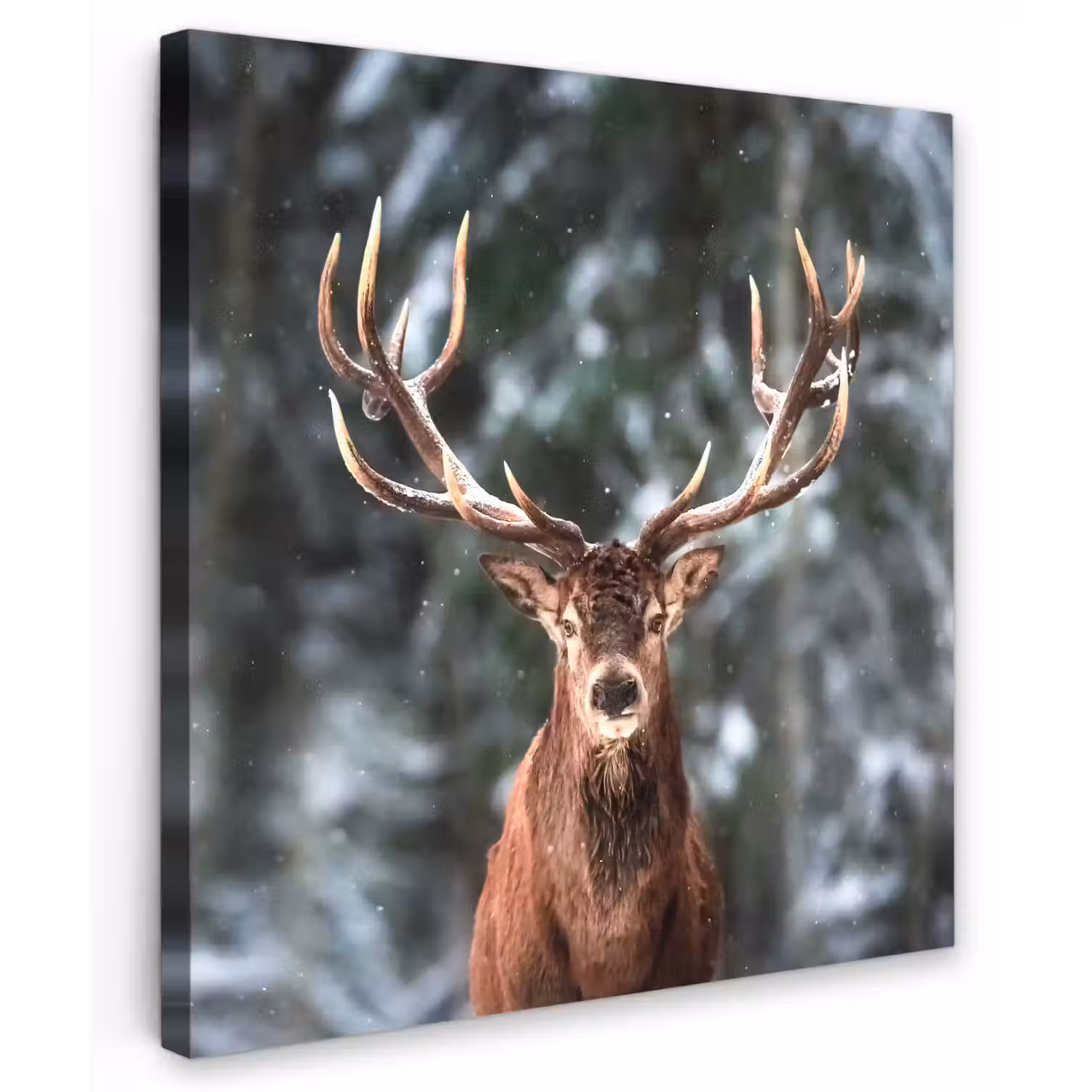 Hert - Winter - Sneeuw - Bos - Natuur - Dier Tuinposter op houten frame 2 cm dik klein -3d
