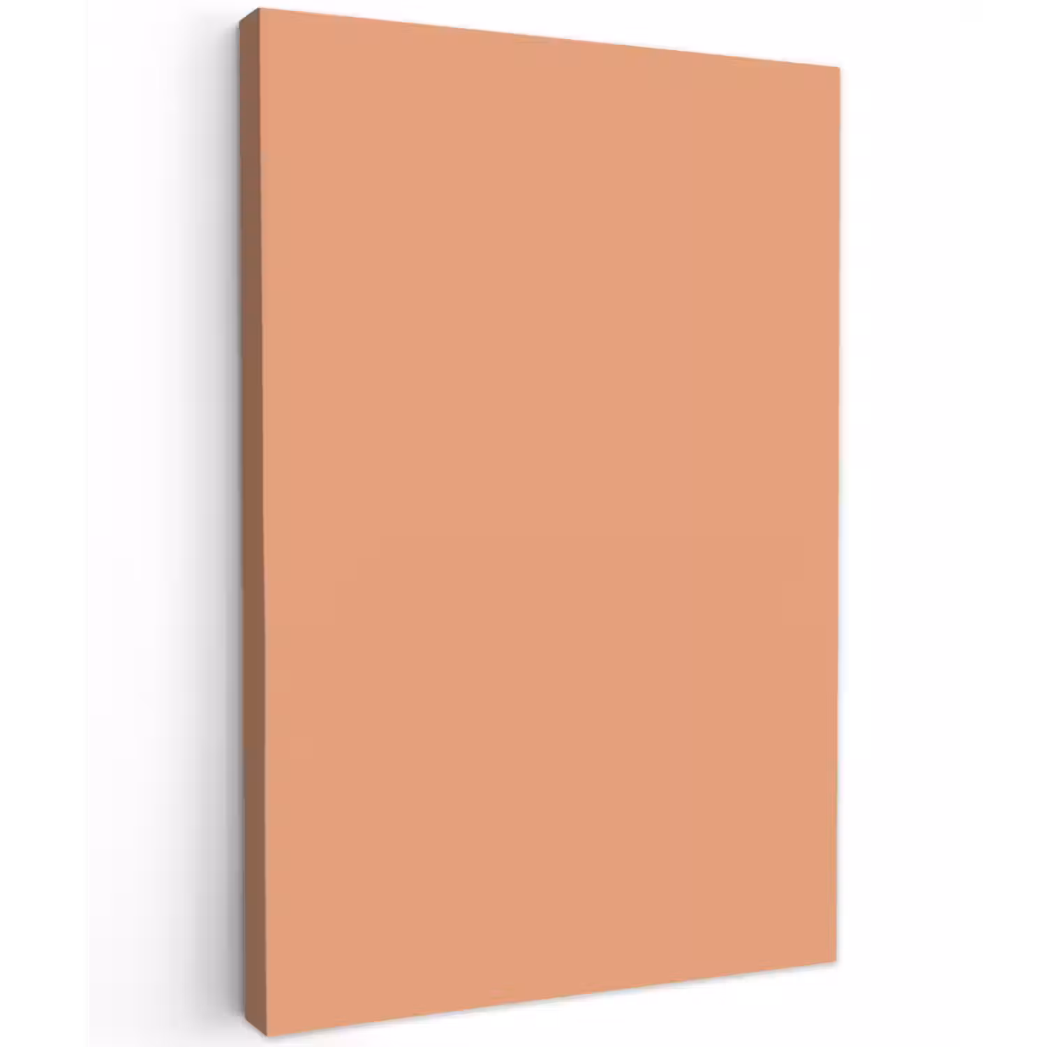 Desert - Coral - Koraal Tuinposter op houten frame 2 cm dik klein 841 -3d