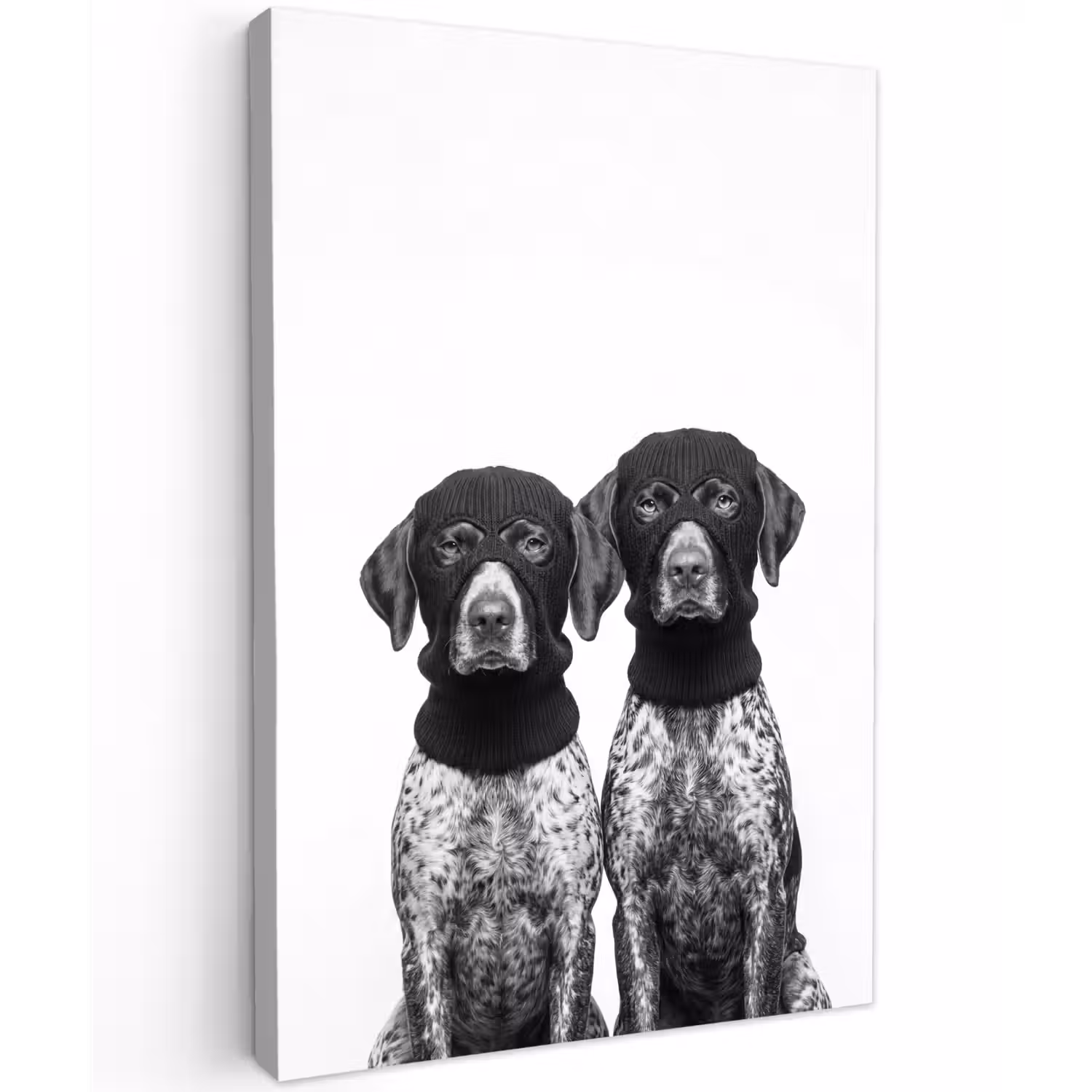 Honden - Bivakmuts - Zwart - wit Tuinposter op houten frame 2 cm dik klein -3d