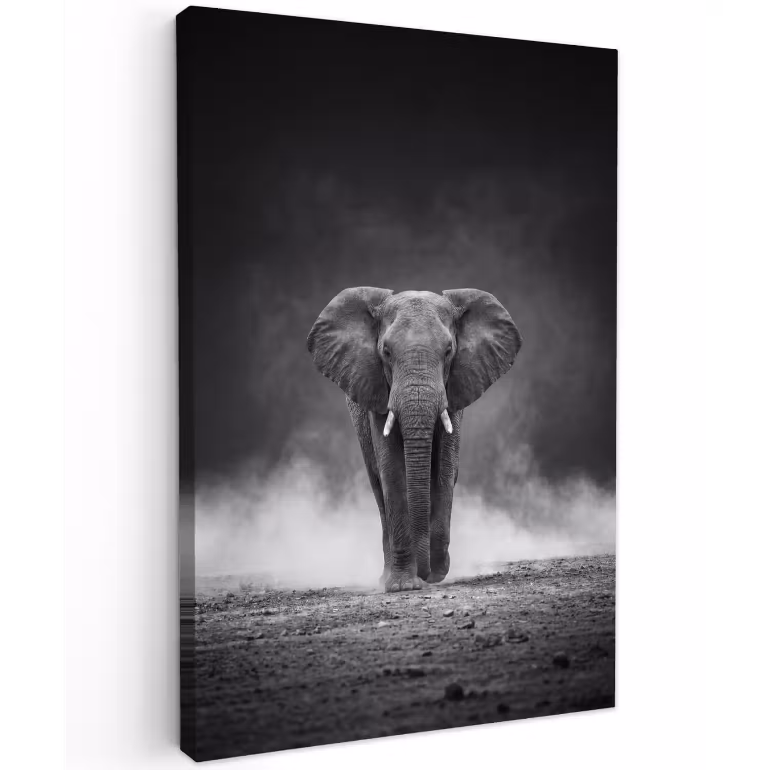 Olifant - Zwart - Wit - Rook Tuinposter op houten frame 2 cm dik klein -3d