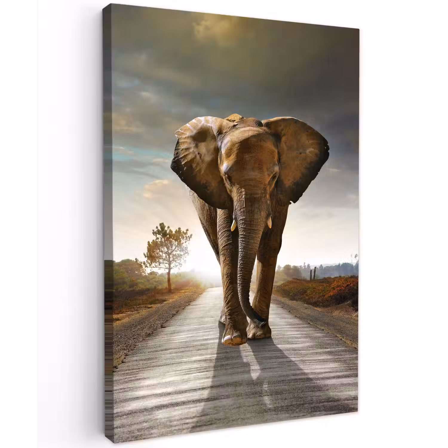 Olifant op een verlaten weg Tuinposter op houten frame 2 cm dik klein -3d