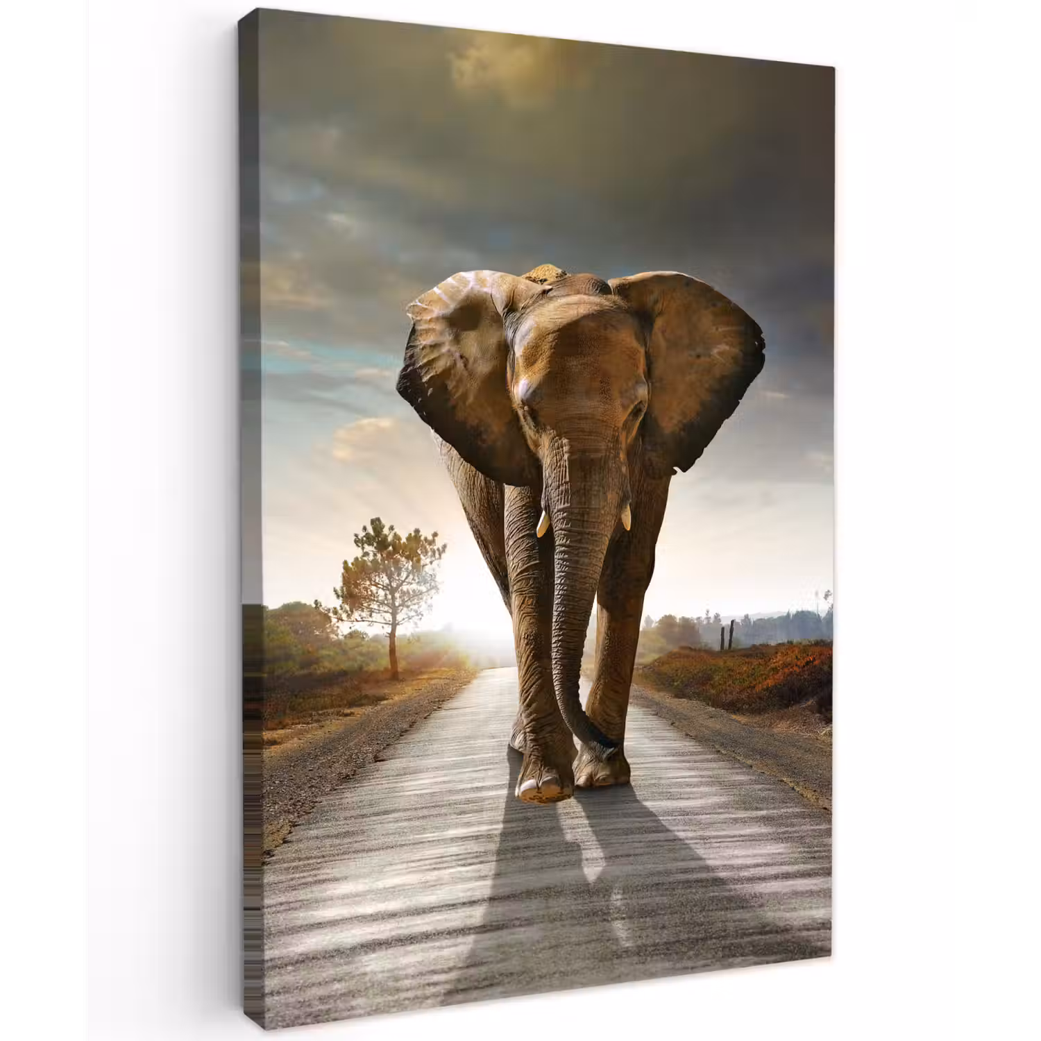 Olifant - Weg - Dieren - Zonsondergang - Landschap Tuinposter op houten frame 2 cm dik klein -3d