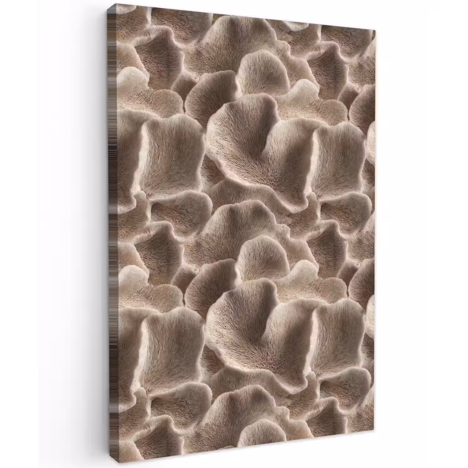Waaiervorm - Beige - Vezel textuur Tuinposter op houten frame 2 cm dik klein 841 -3d