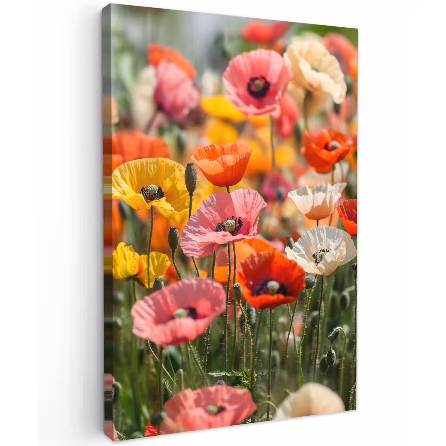 Bloemenveld - Klaprozen - Kleurrijk Tuinposter op houten frame 2 cm dik klein -3d