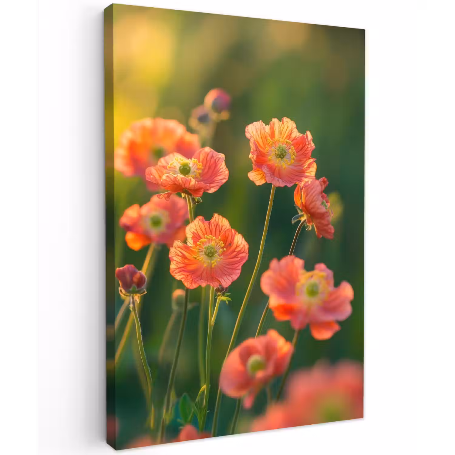 Bloemenveld - Zonnestralen - Oranje Tuinposter op houten frame 2 cm dik klein -3d