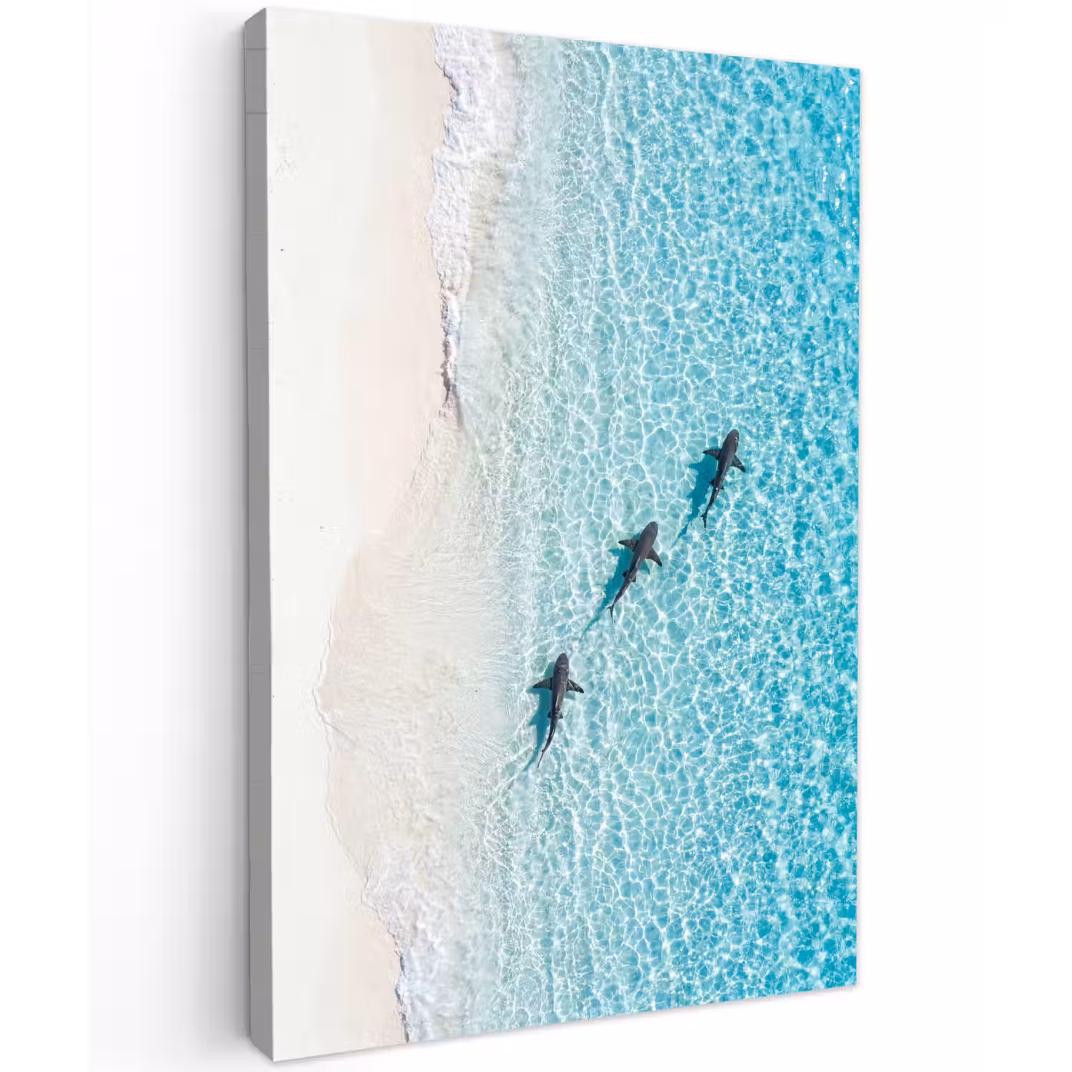 Vis - Oceaan - Strand - Turquoise - Natuur Tuinposter op houten frame 2 cm dik klein -3d
