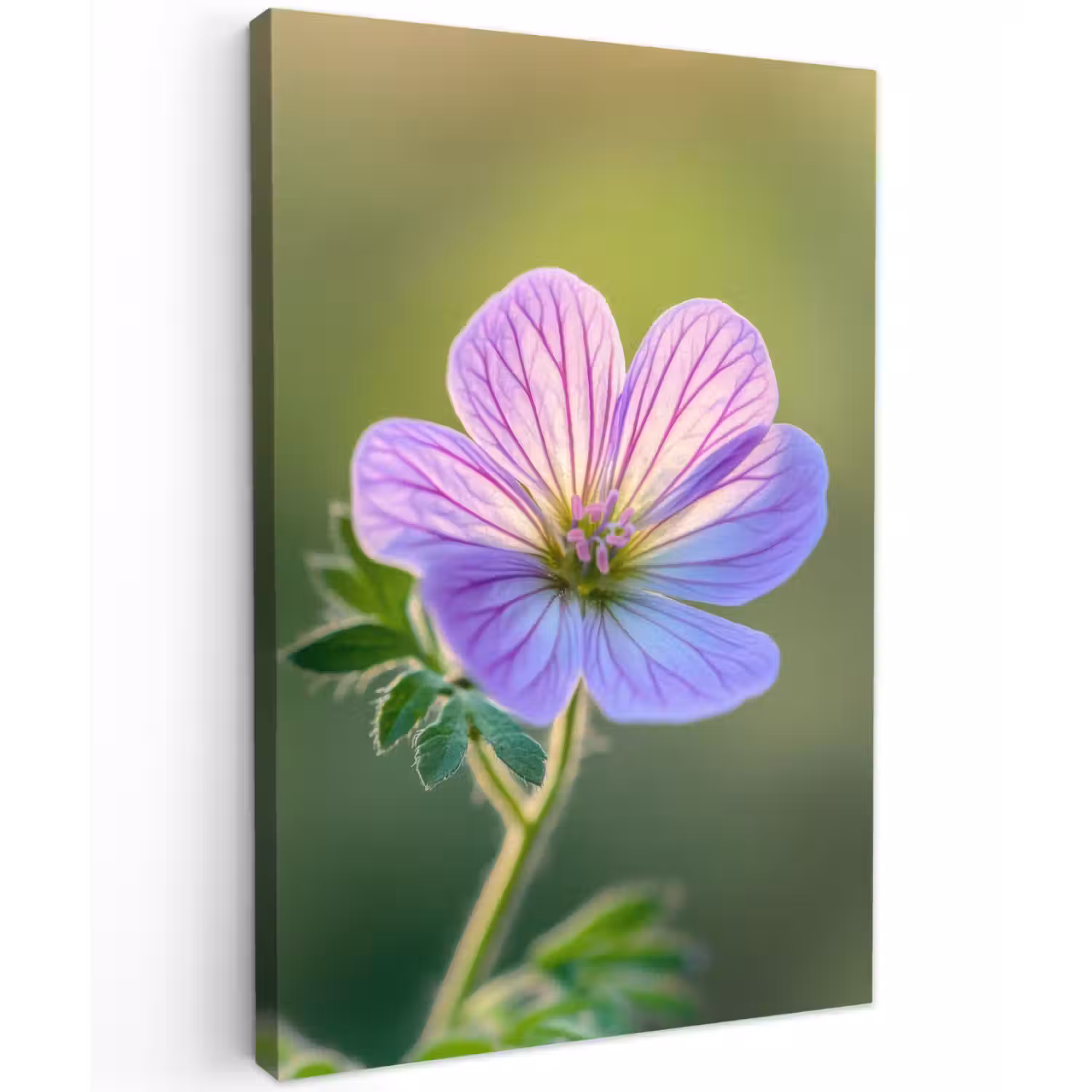 Bloem - Close up - Paars Tuinposter op houten frame 2 cm dik klein -3d