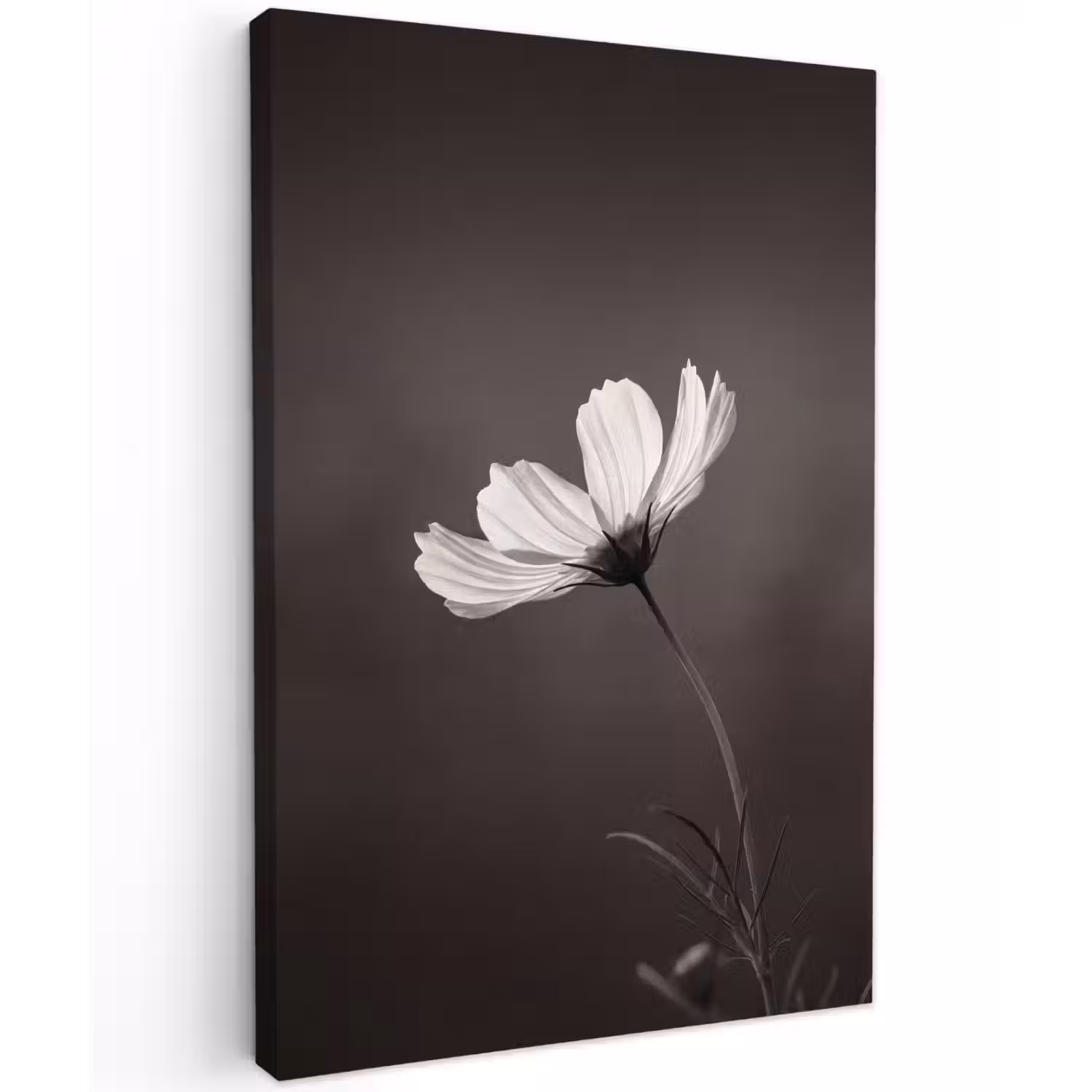 Bloem - Minimalistisch - Zwart - Wit Tuinposter op houten frame 2 cm dik klein -3d