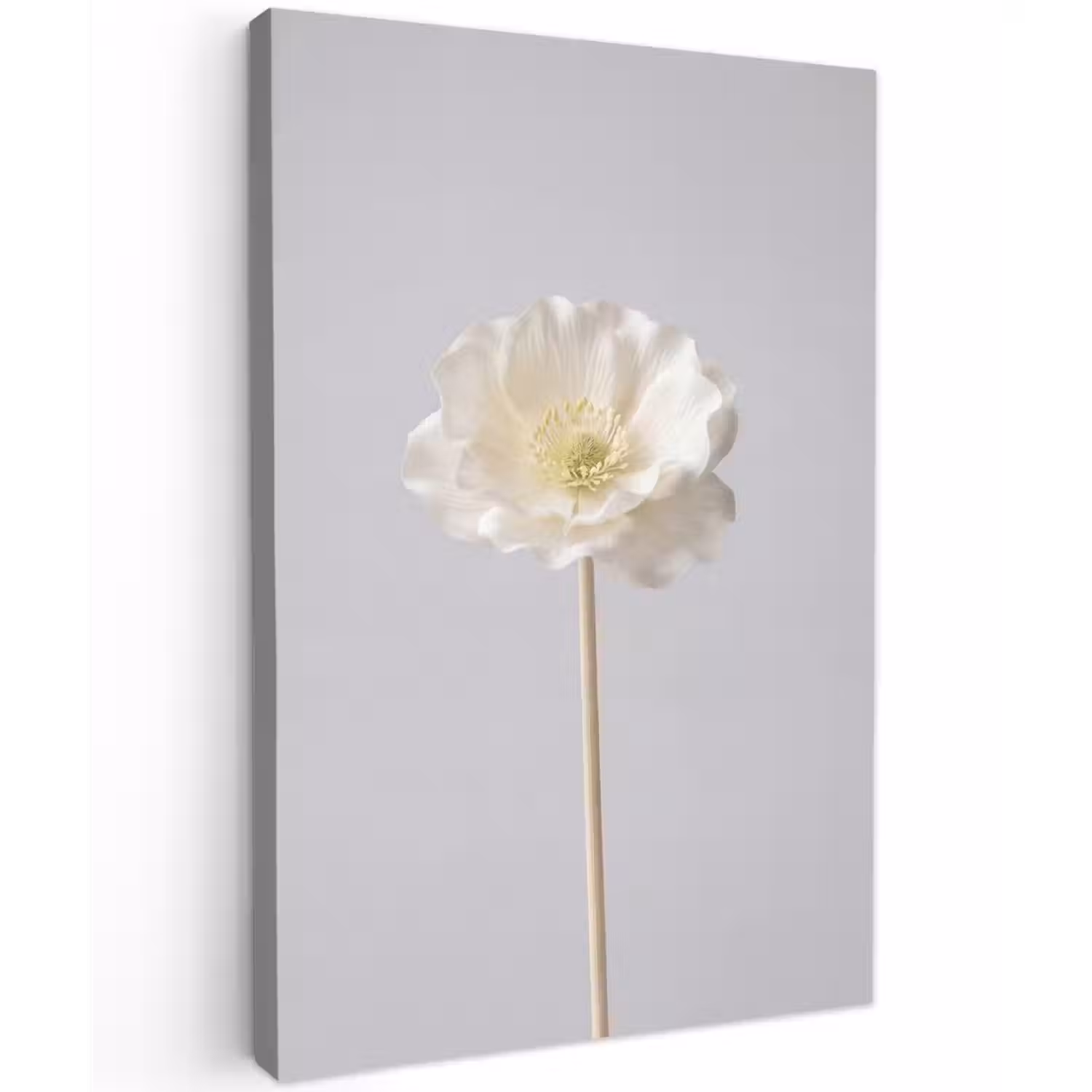 Bloem - Minimalistisch -Wit Tuinposter op houten frame 2 cm dik klein -3d