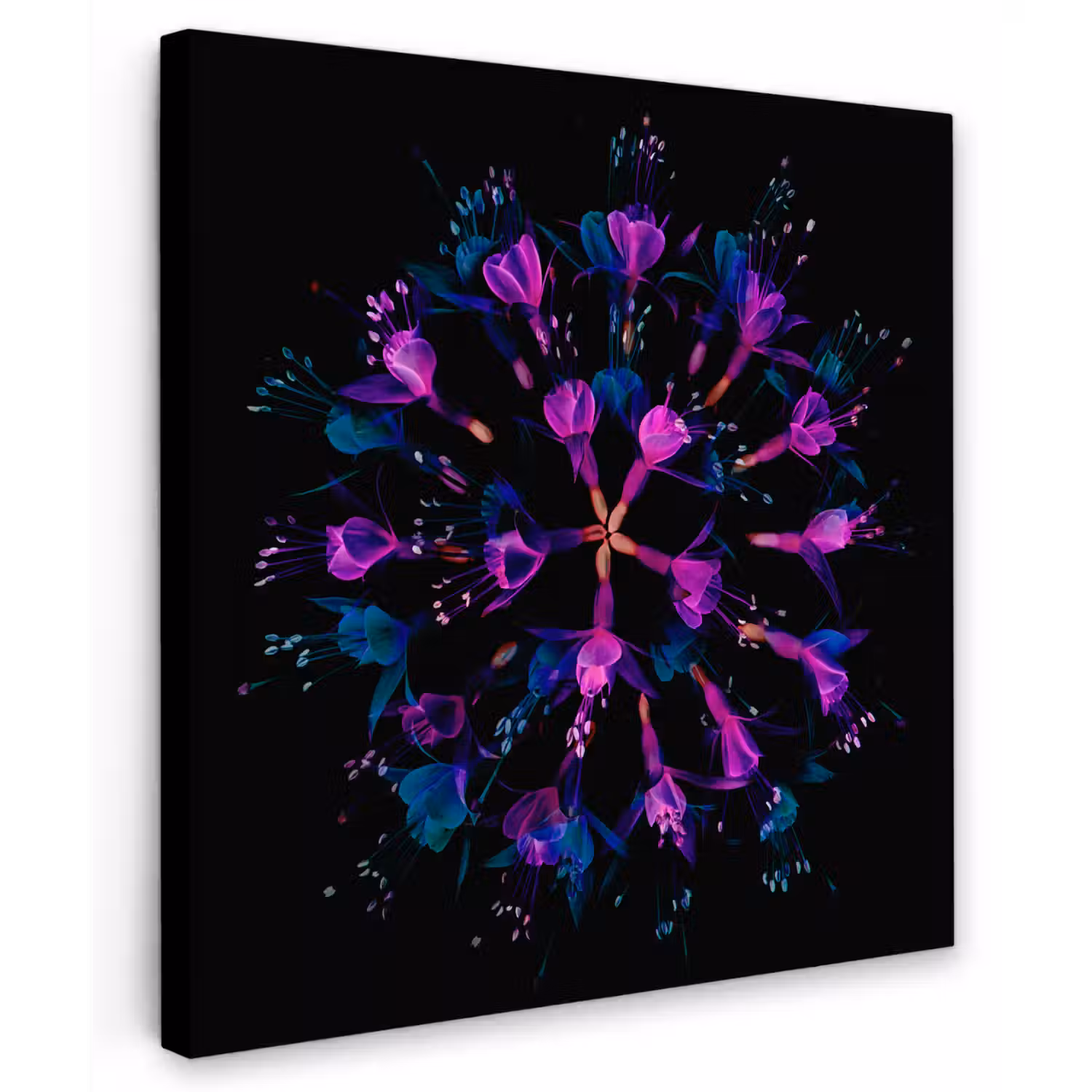 Bloem - Paars - Blauw - Macro - Zwart Tuinposter op houten frame 2 cm dik klein -3d