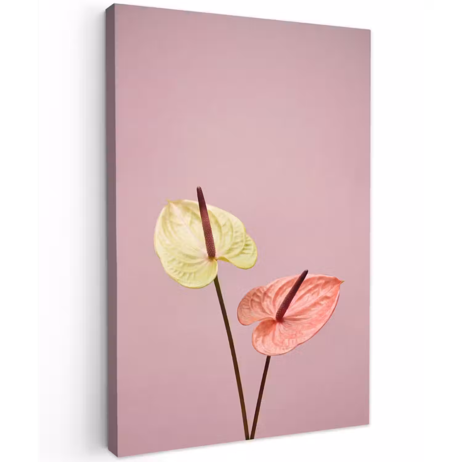 Bloemen - Anthuriums - Geel - Roze Tuinposter op houten frame 2 cm dik klein -3d