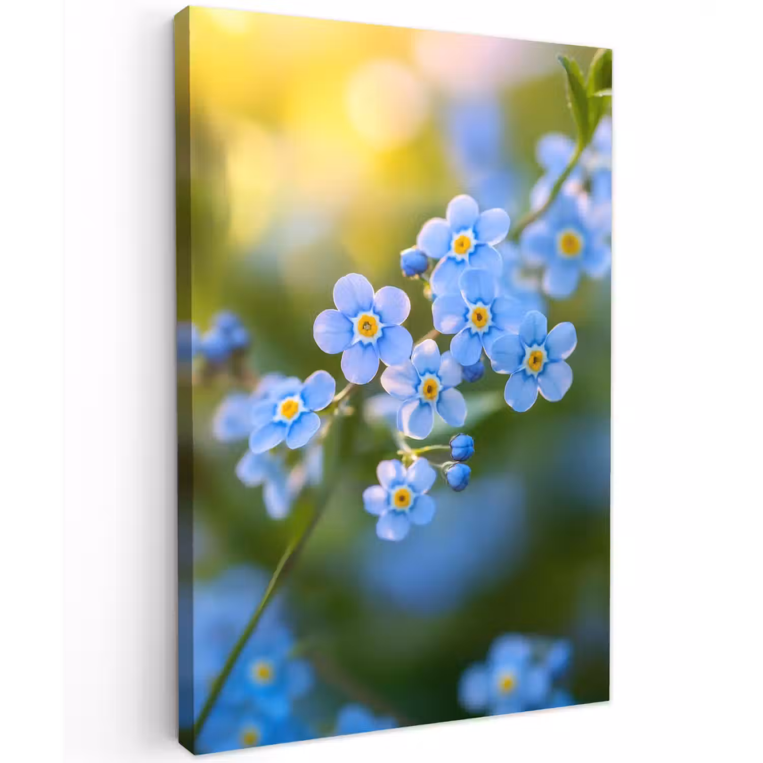 Bloemetjes - Blauw - Vergeet mij nietjes Tuinposter op houten frame 2 cm dik klein -3d