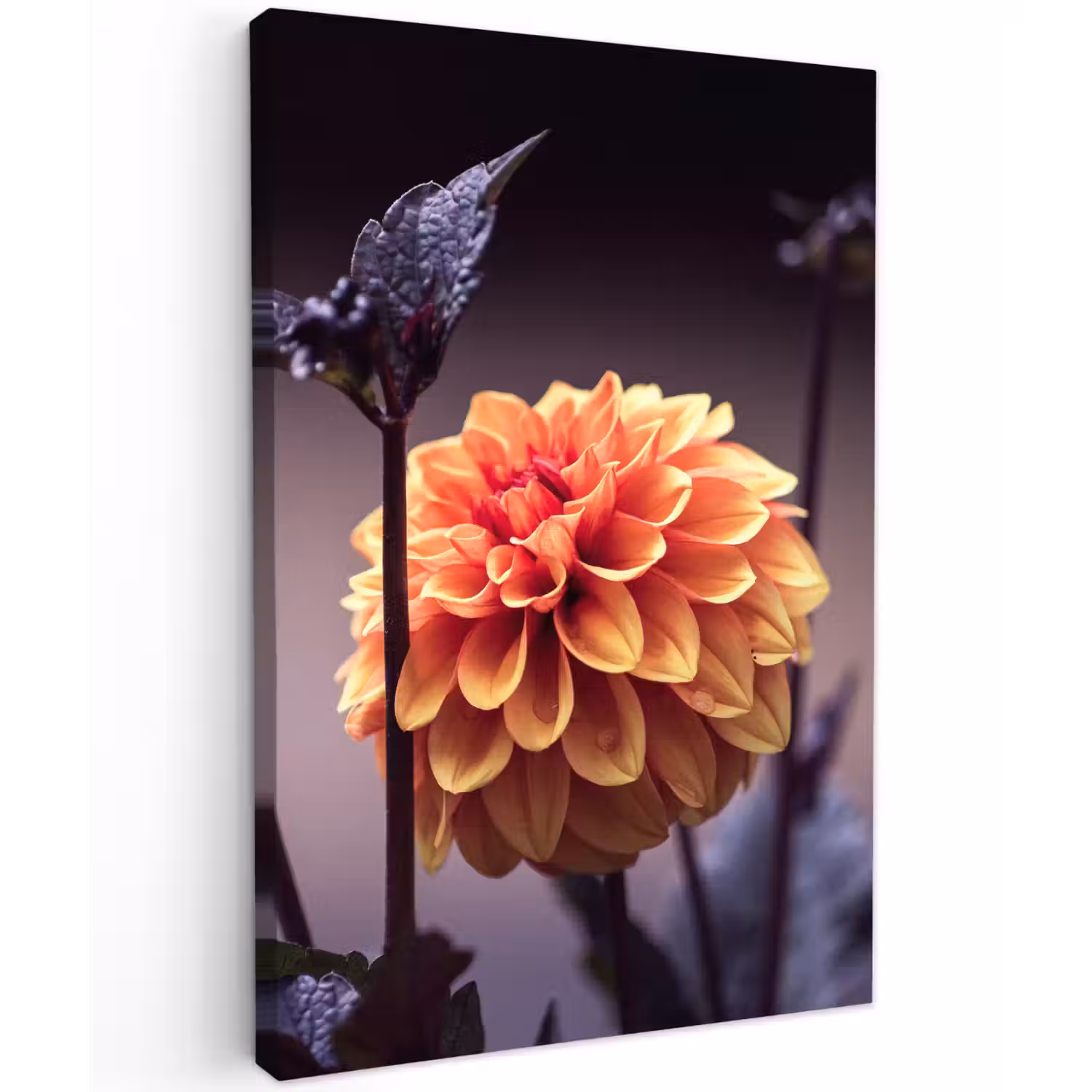 Bloemen - Chrysant - Macro - Planten Tuinposter op houten frame 2 cm dik klein -3d