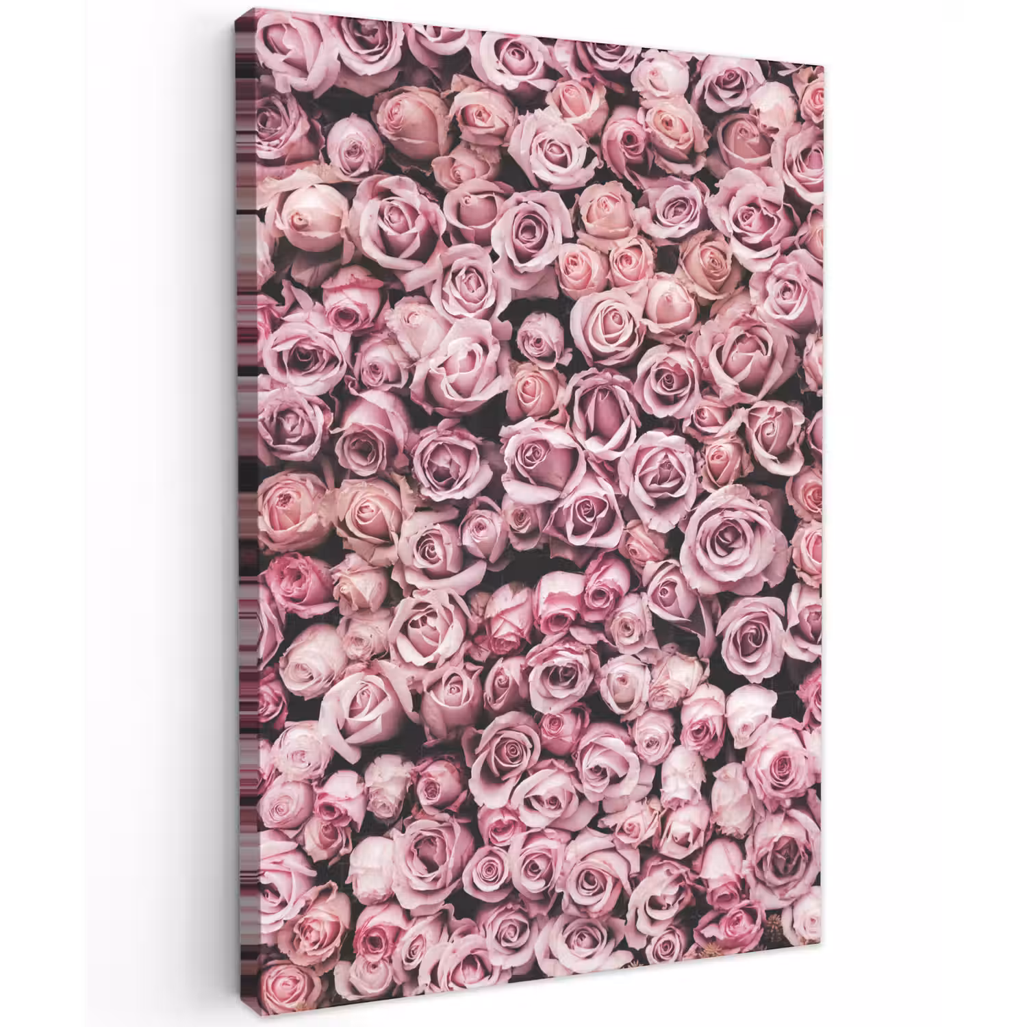 Bloemen - Rozen - Natuur - Roze - Botanisch Tuinposter op houten frame 2 cm dik klein -3d