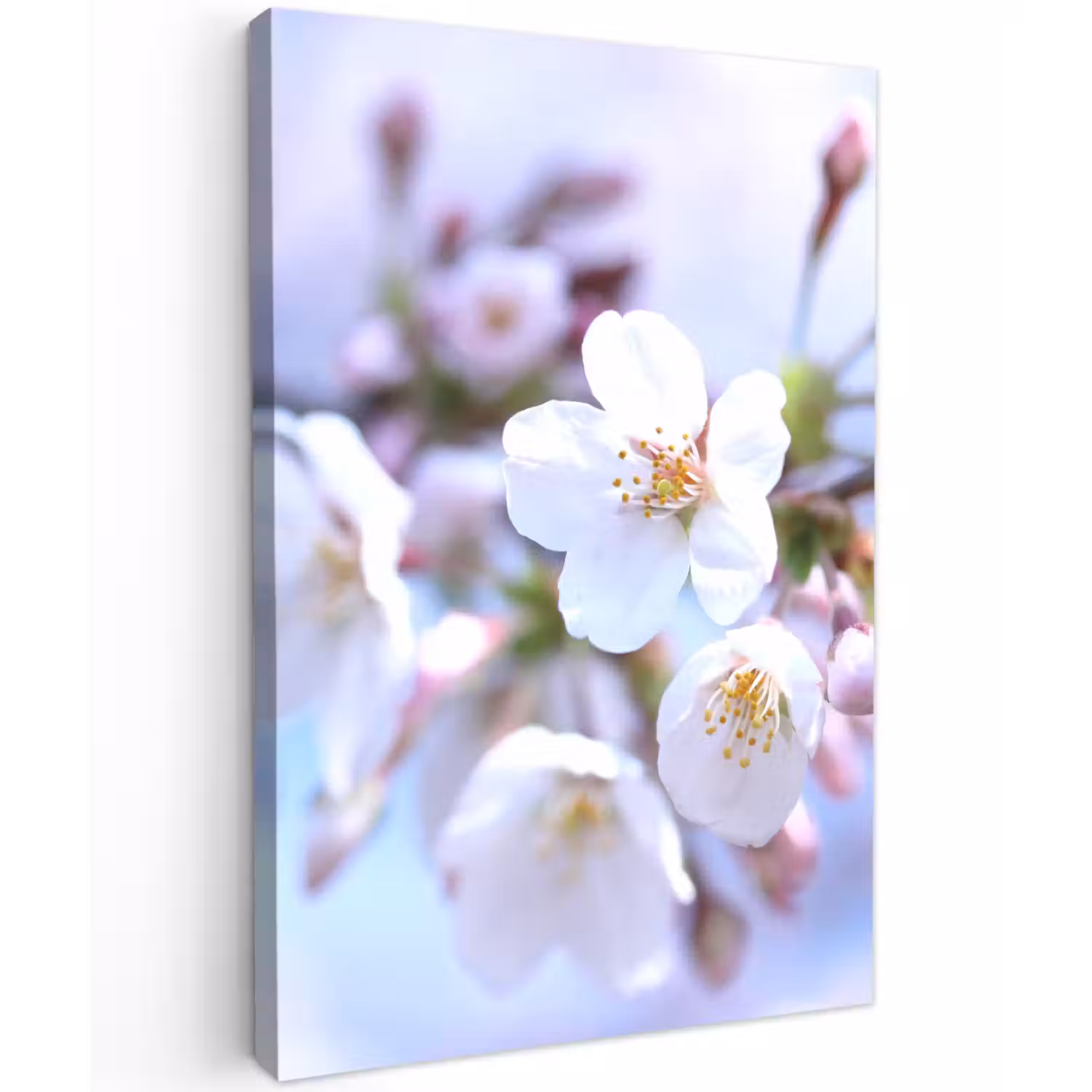 Bloemen - Sakura - Tak - Bloesem takken Tuinposter op houten frame 2 cm dik klein -3d