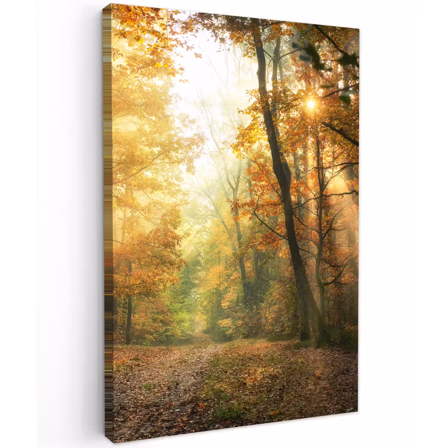 Bos - Herfst - Zon - Landschap - Natuur - Bomen - Bladeren Tuinposter op houten frame 2 cm dik klein -3d