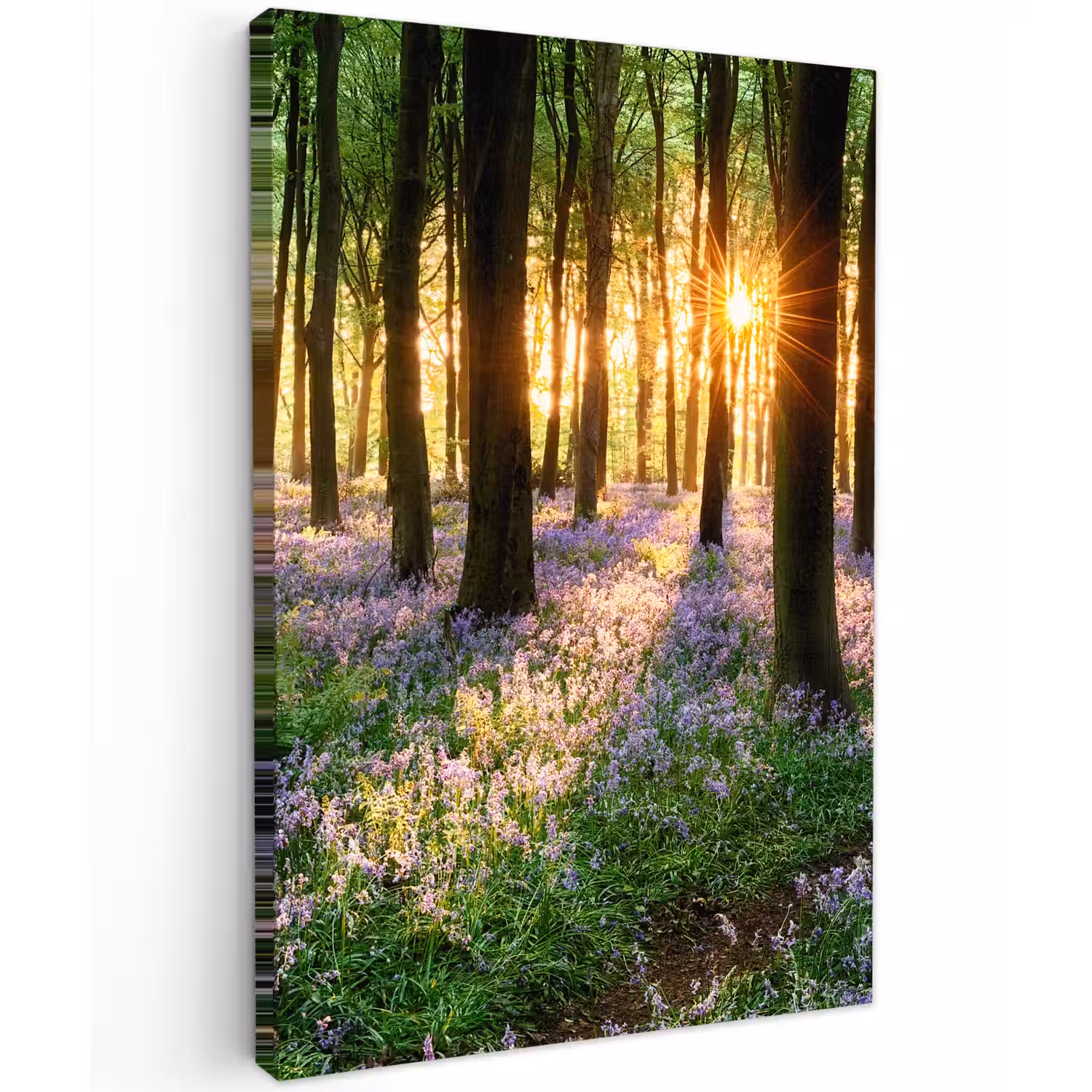 Bos - Bloemen - Lavendel - Zon - Paars - Natuur Tuinposter op houten frame 2 cm dik klein -3d