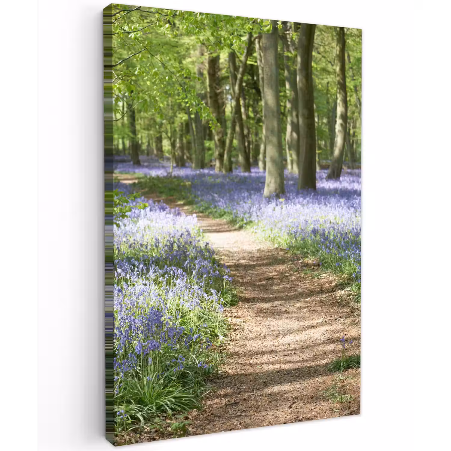 Bos - Pad - Bloemen - Paars - Groen - Natuur Tuinposter op houten frame 2 cm dik klein -3d