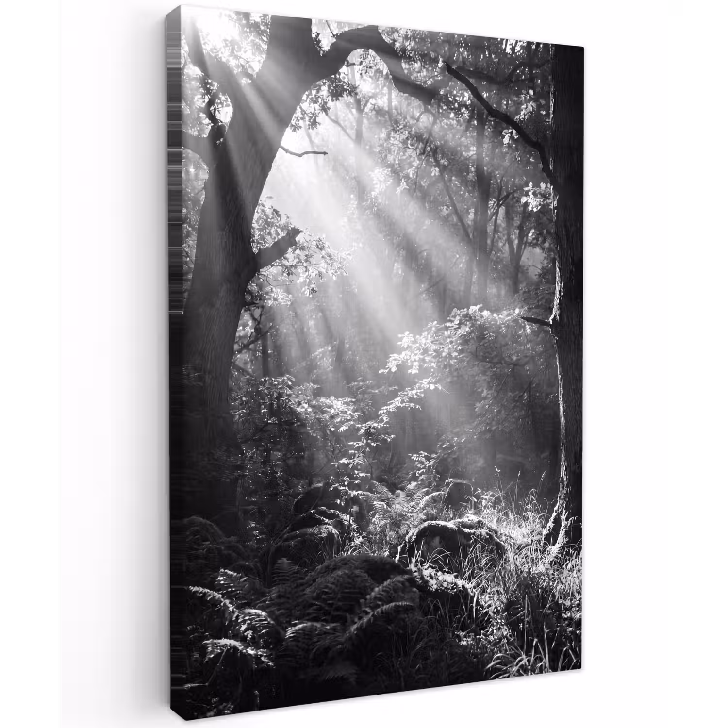 Bos - Lichtstralen - Natuur - Zwart-wit Tuinposter op houten frame 2 cm dik klein -3d