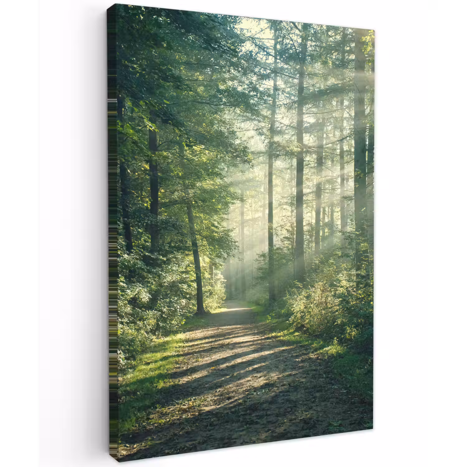 Bosweg in ochtendlicht Tuinposter op houten frame 2 cm dik klein -3d