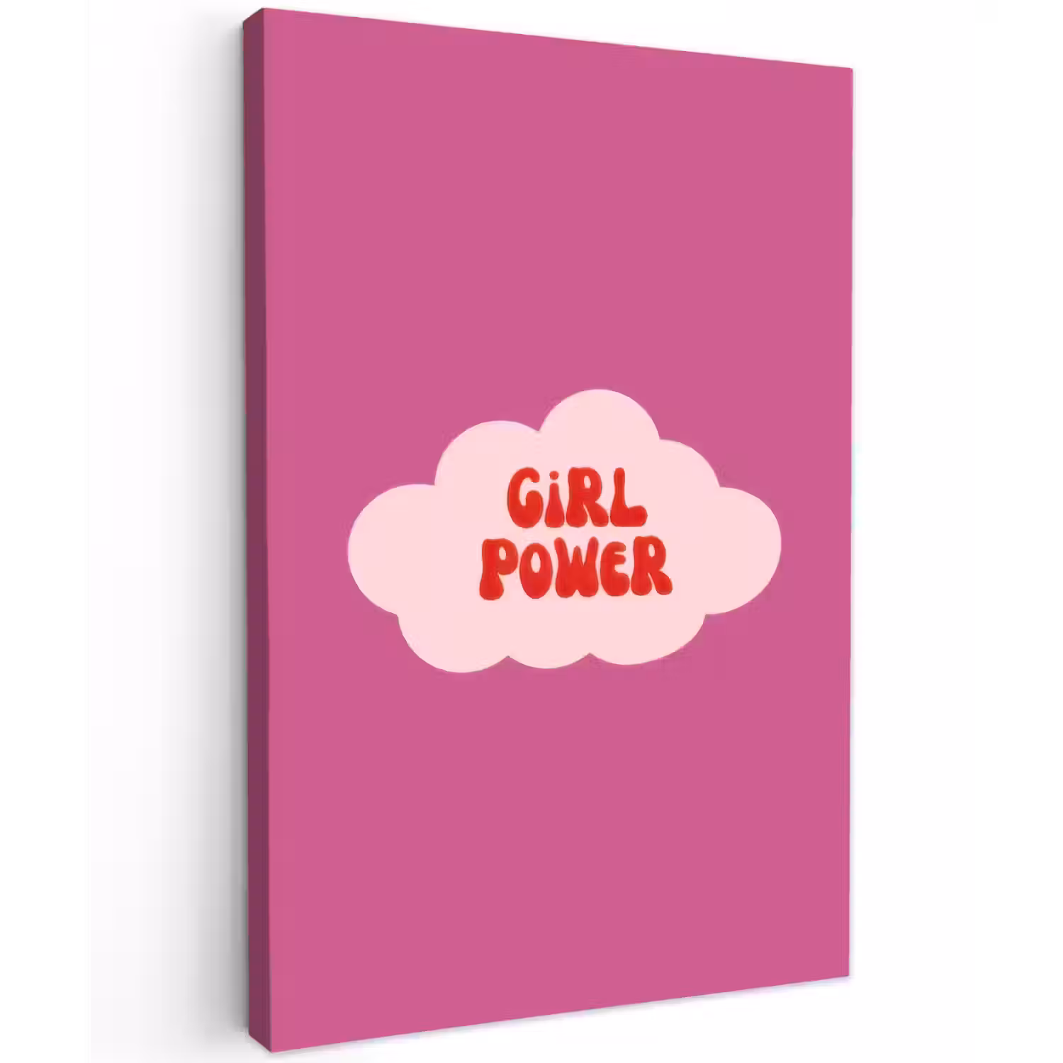Girl power - Wolk - Roze Tuinposter op houten frame 2 cm dik klein -3d