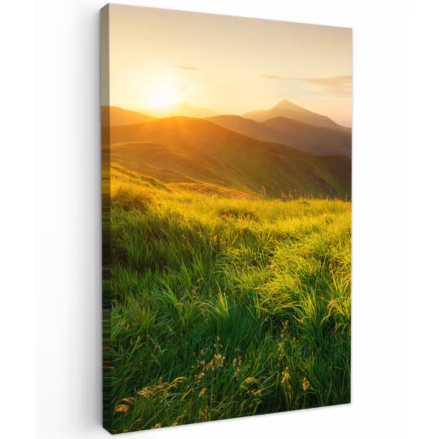 Gras - Heuvels - Zon - Natuur - Landschap Tuinposter op houten frame 2 cm dik klein -3d