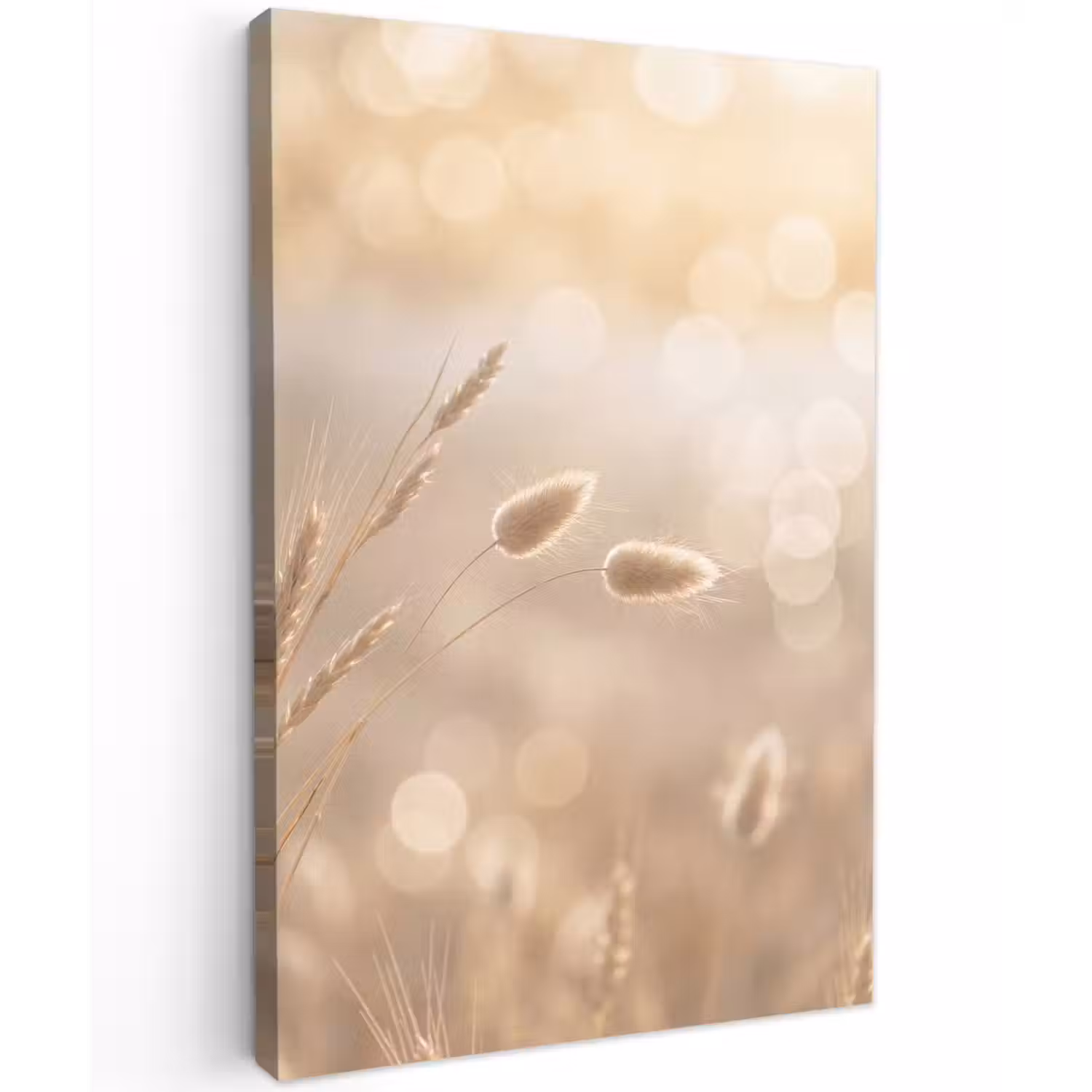 Hazestaartgras - Graanharen - Zonlicht Tuinposter op houten frame 2 cm dik klein -3d