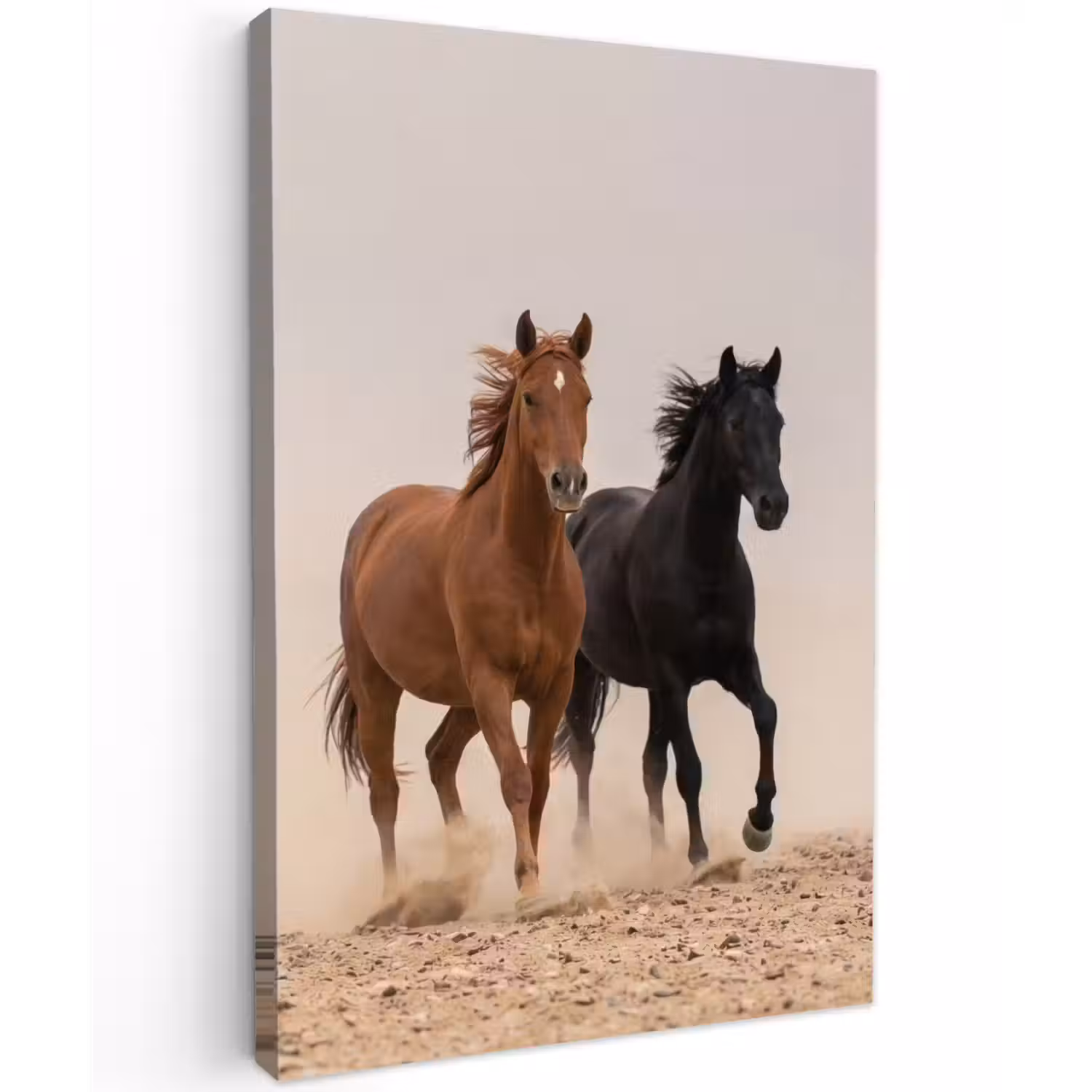 Kudde paarden - Stofwolk - Bruin - Zwart Tuinposter op houten frame 2 cm dik klein -3d