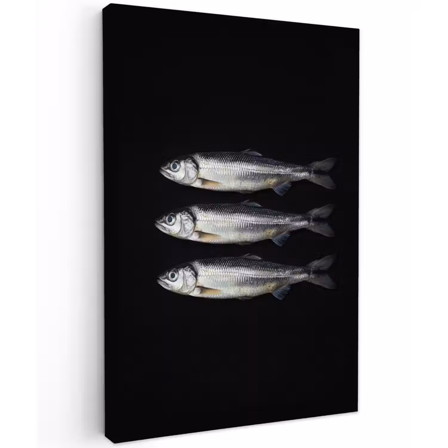 Haring - Vissen - Zwart Tuinposter op houten frame 2 cm dik klein -3d