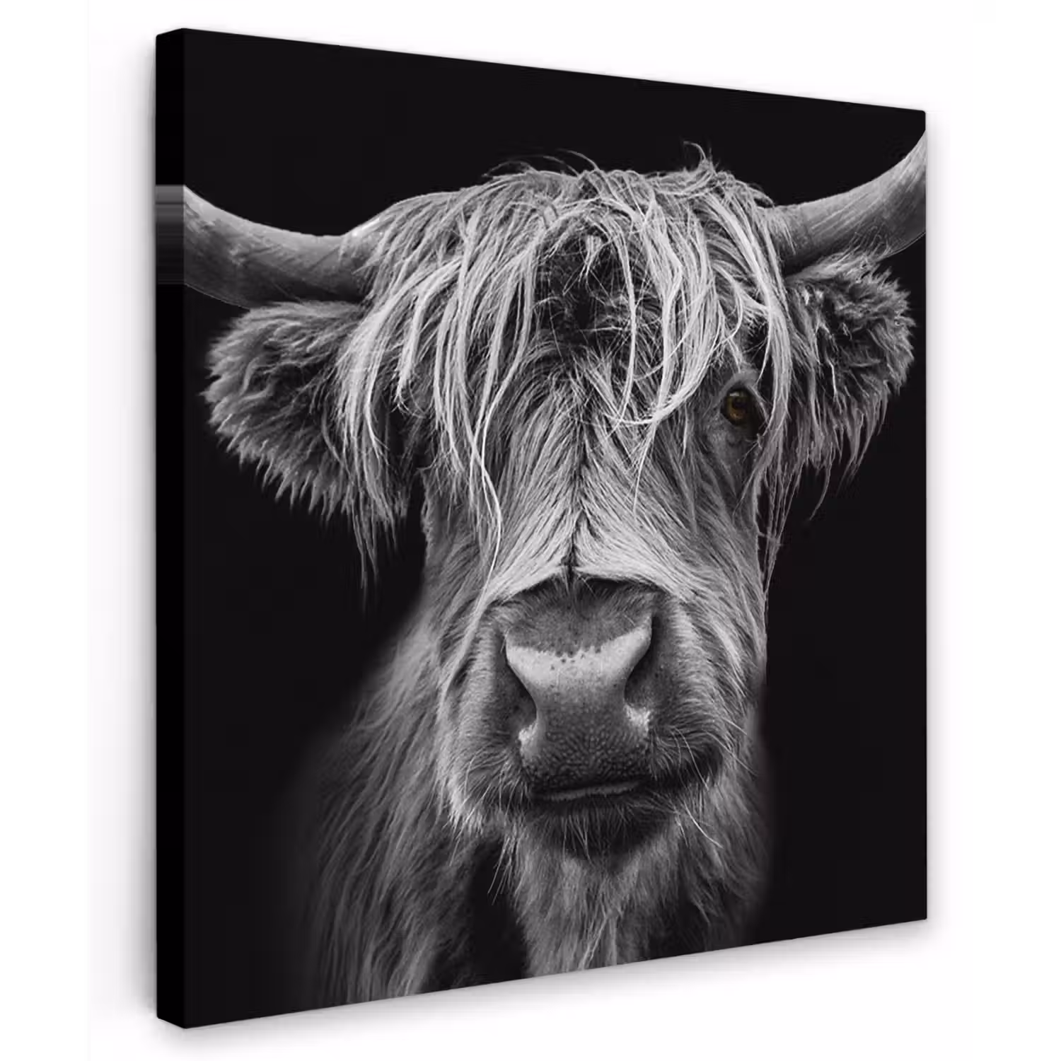 Hooglander in Zwart-Wit Tuinposter op houten frame 2 cm dik klein -3d