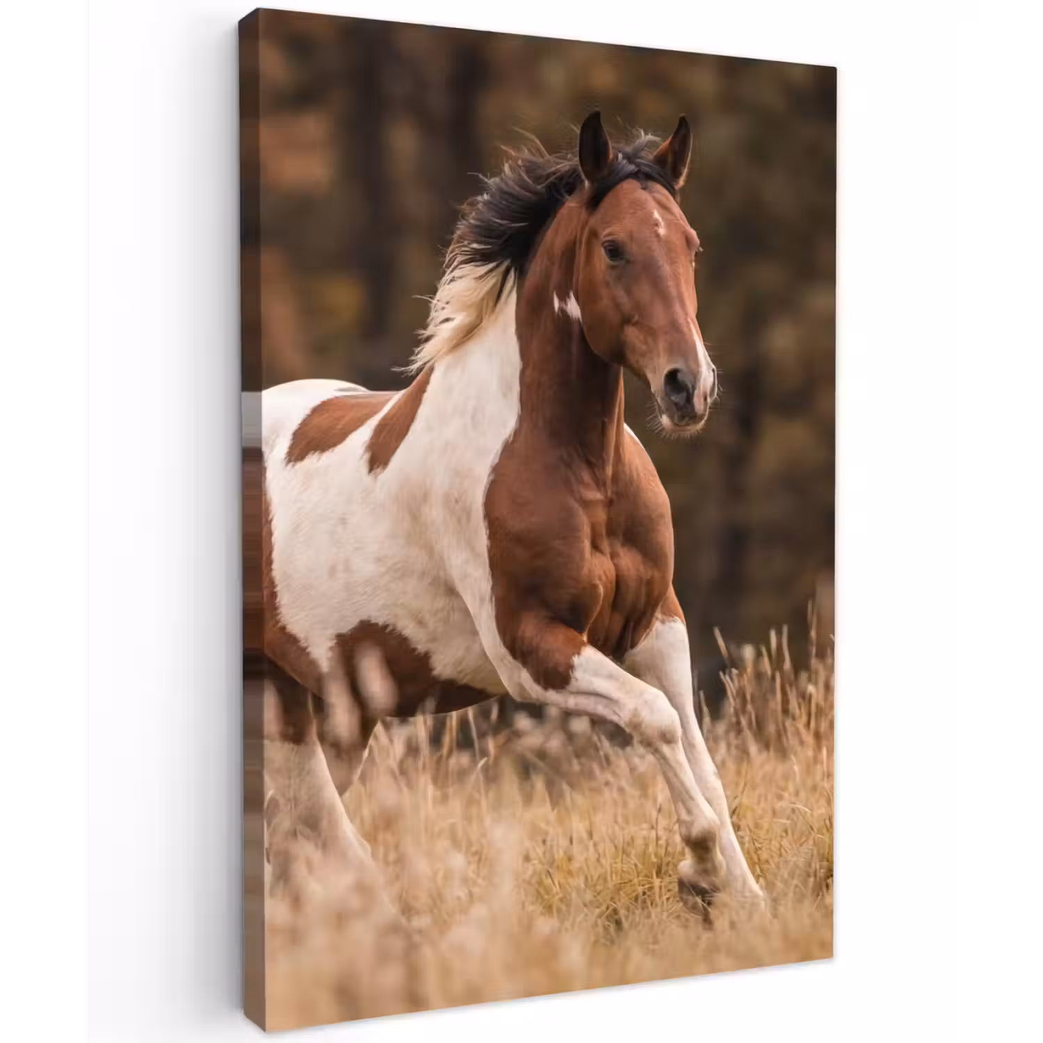 Paard - Bruin - Gras Tuinposter op houten frame 2 cm dik klein -3d