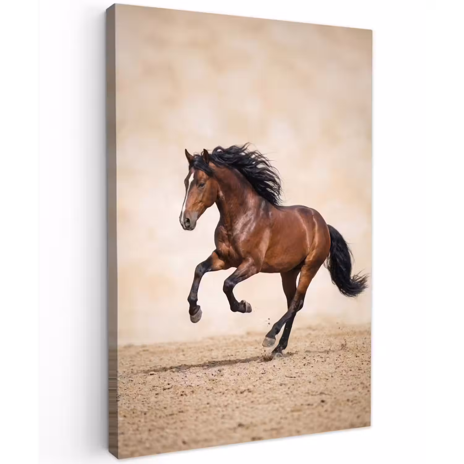 Paard - Galop - Energie Tuinposter op houten frame 2 cm dik klein -3d