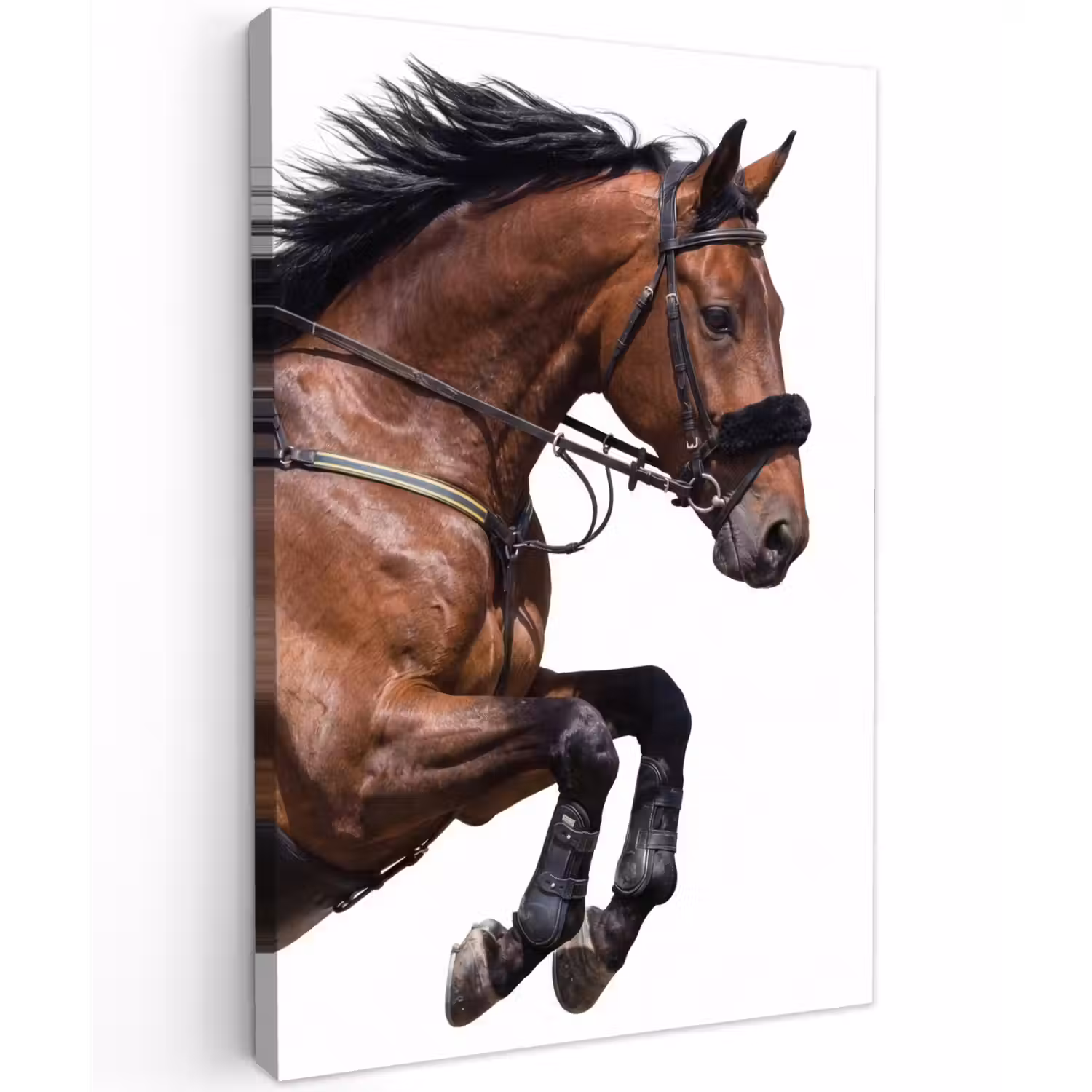 Paard - Springen - Modern Tuinposter op houten frame 2 cm dik klein -3d