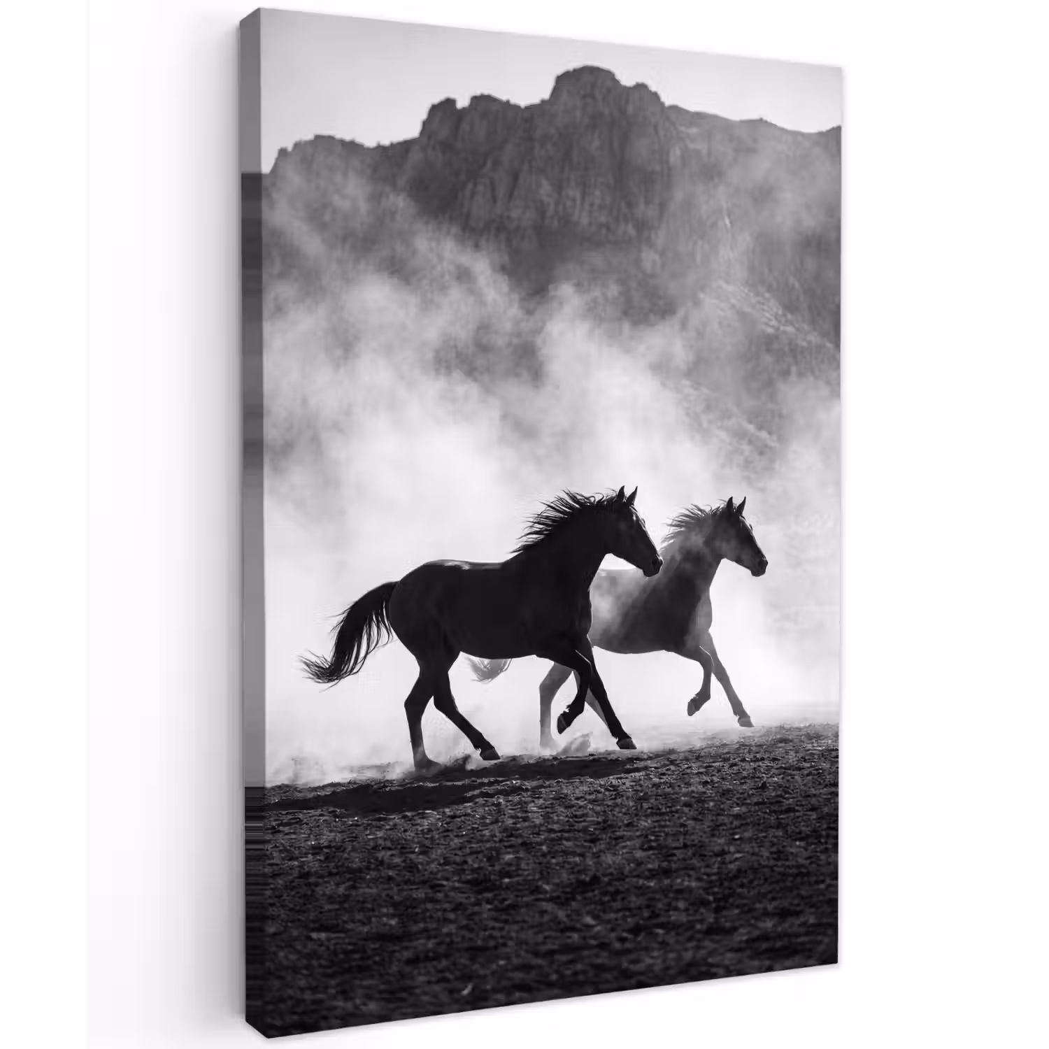 Paard - Ren - Stof - Zwart-wit - Dieren Tuinposter op houten frame 2 cm dik klein -3d