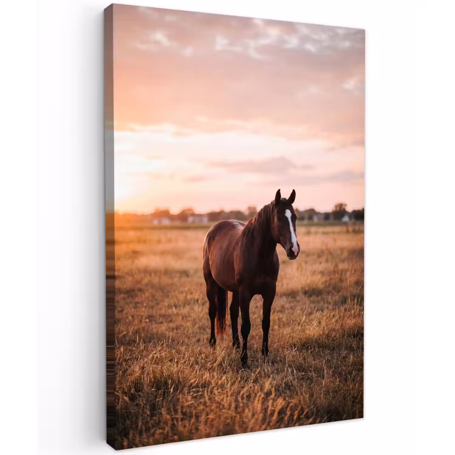 Paard - Zonsondergang - Bruin Tuinposter op houten frame 2 cm dik klein -3d
