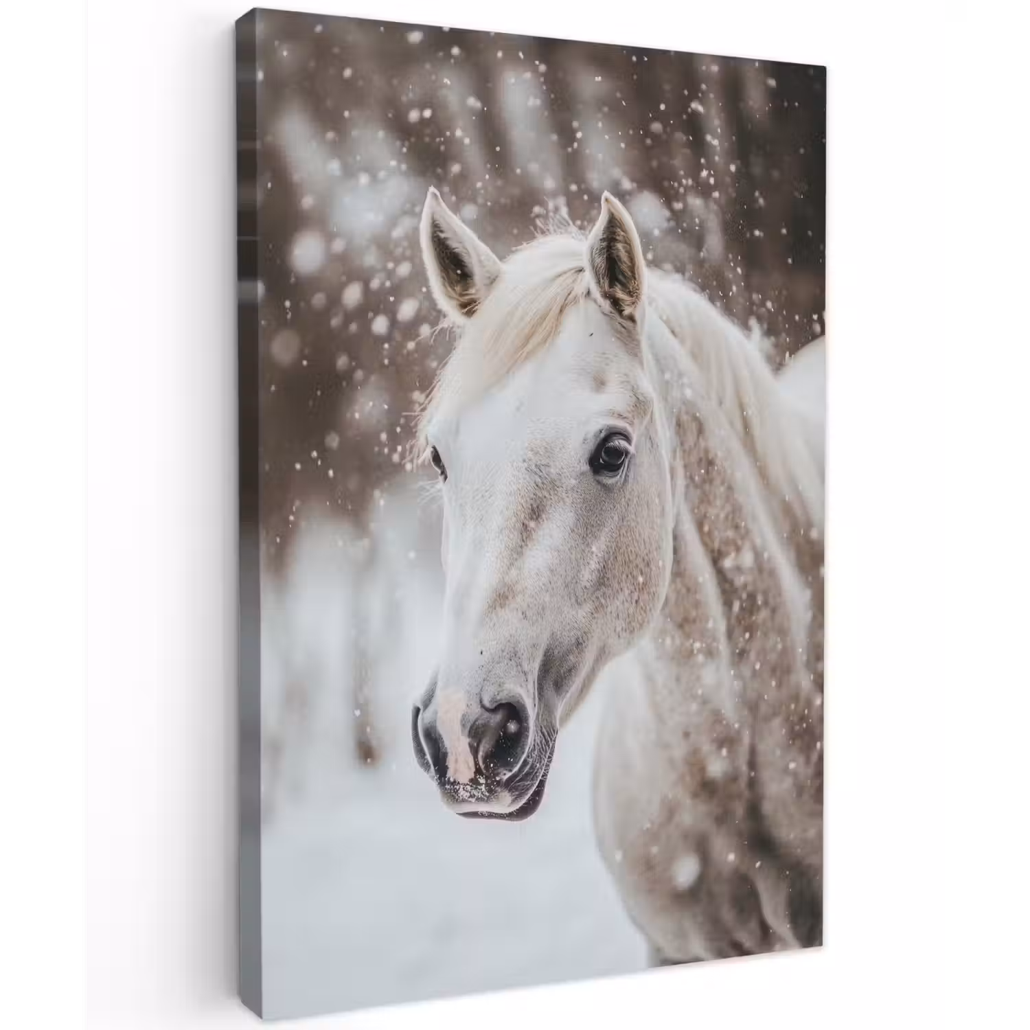 Paard - Wit - Winter - Natuur - Sneeuw - Dieren Tuinposter op houten frame 2 cm dik klein -3d