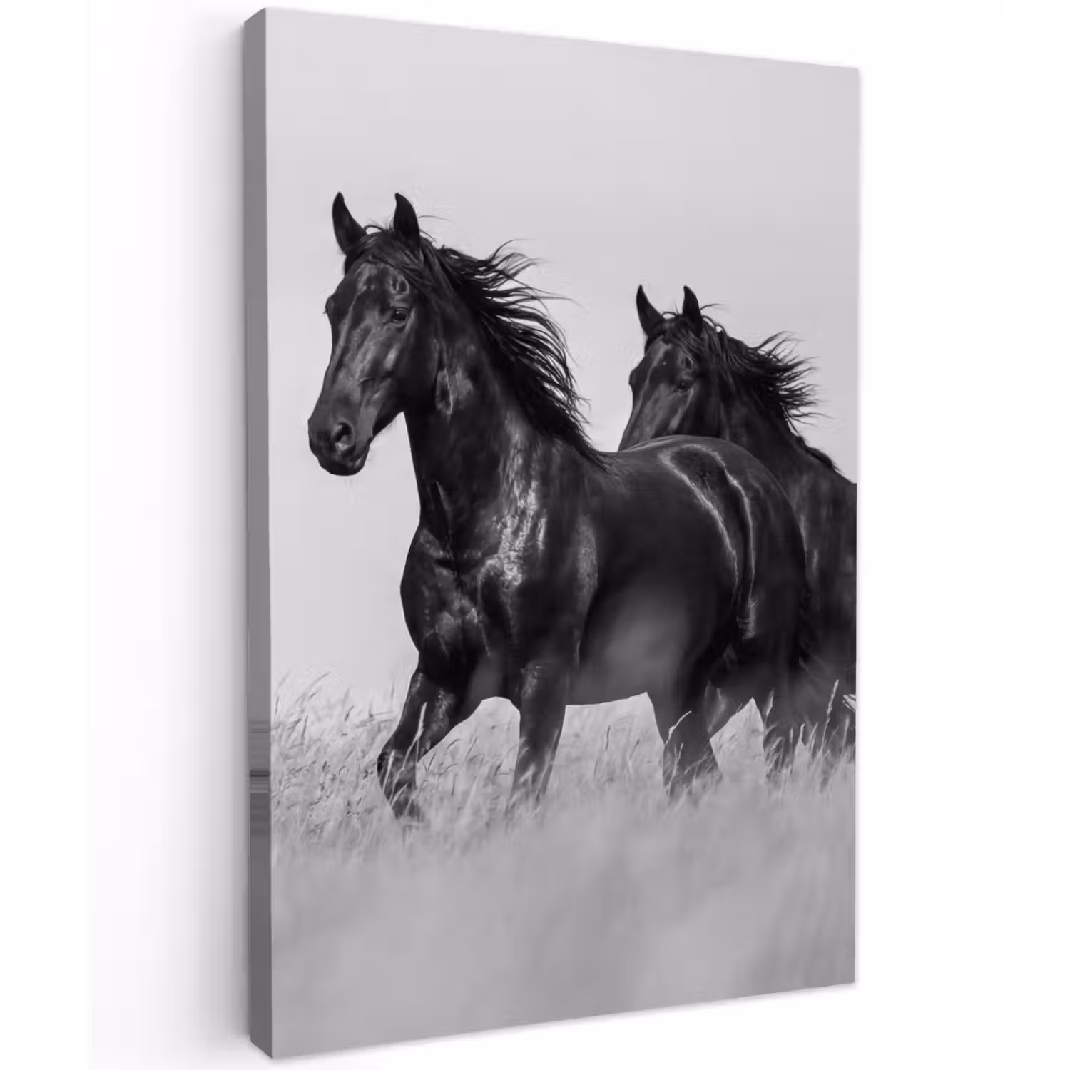Paarden - Gras - Zwart - Wit Tuinposter op houten frame 2 cm dik klein -3d