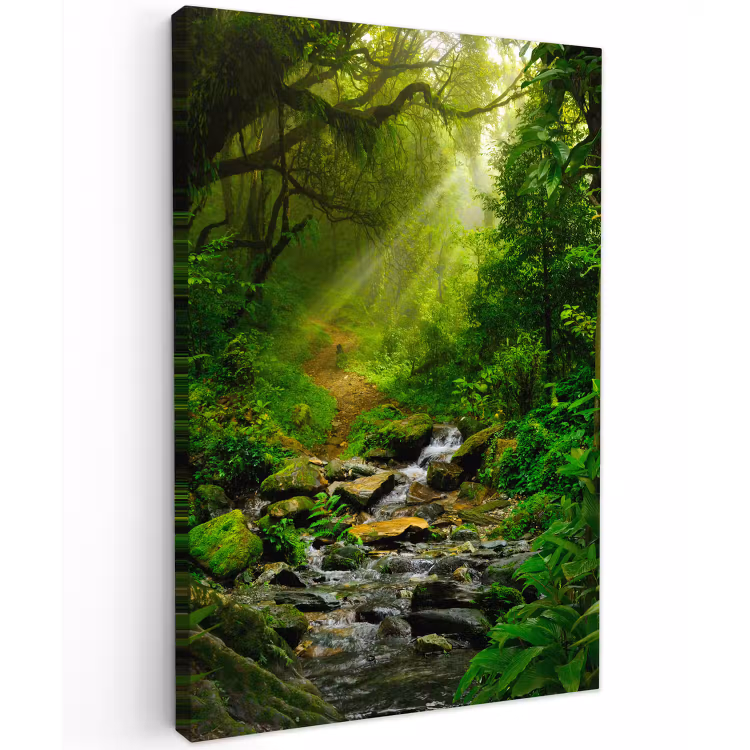 Jungle - Water - Bladeren - Zon - Natuur Tuinposter op houten frame 2 cm dik klein -3d