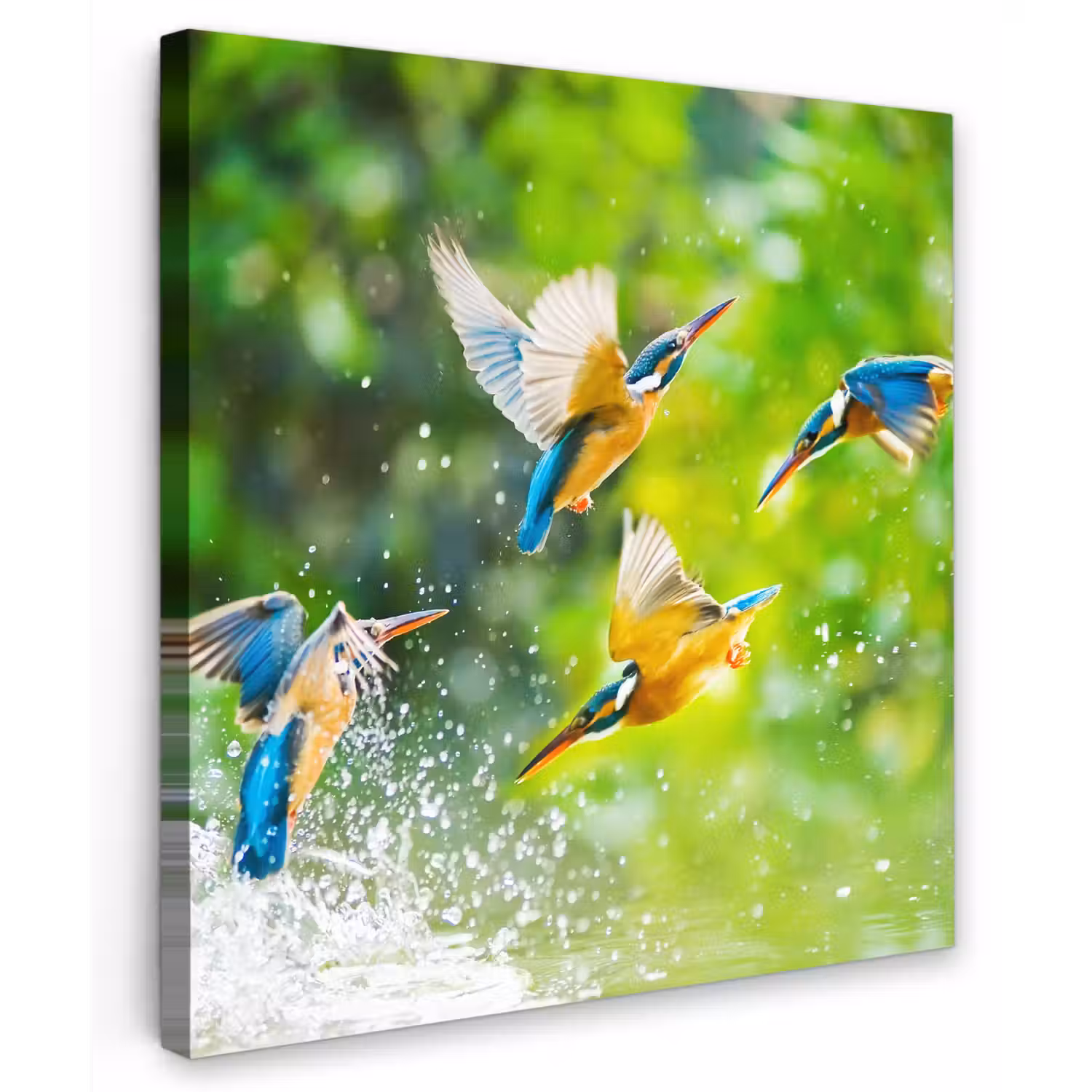 IJsvogels vliegen in het water Tuinposter op houten frame 2 cm dik klein -3d
