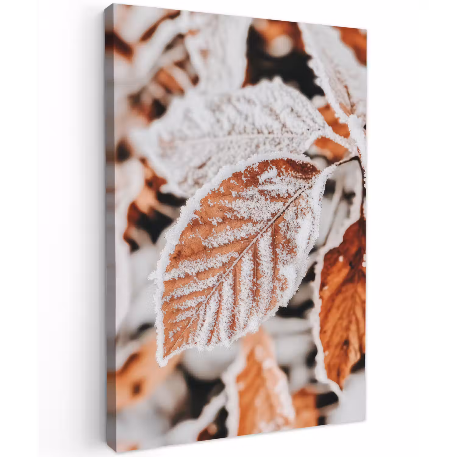 Bladeren - IJs - Winter - Natuur Tuinposter op houten frame 2 cm dik klein -3d
