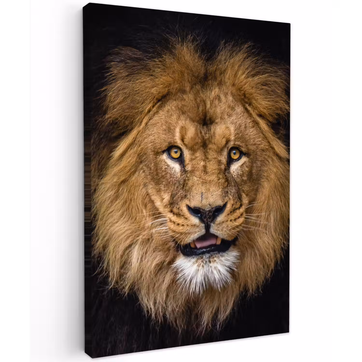 Leeuw - Portret - Zwart - Dieren Tuinposter op houten frame 2 cm dik klein -3d
