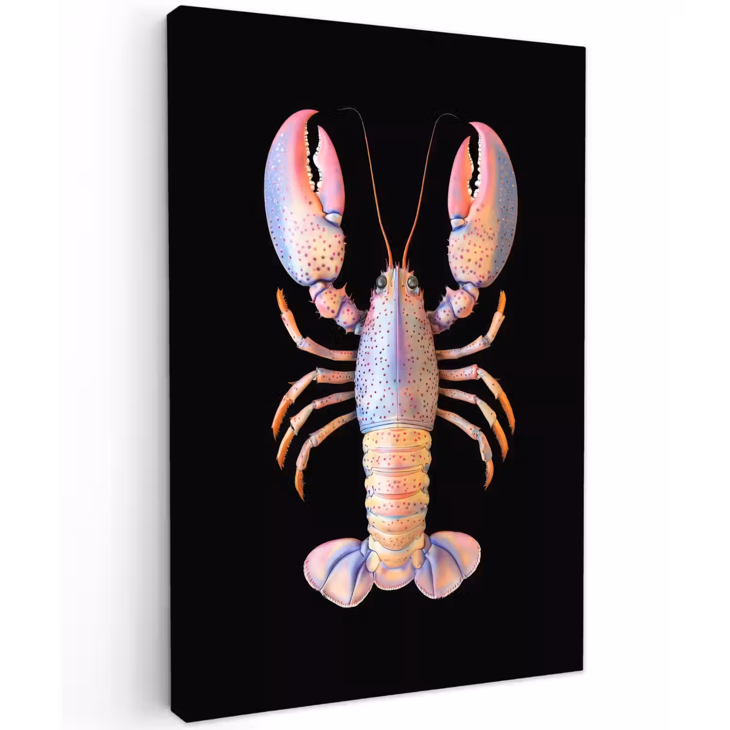 Kreeft - Roze - Zacht - Zwart Tuinposter op houten frame 2 cm dik klein -3d